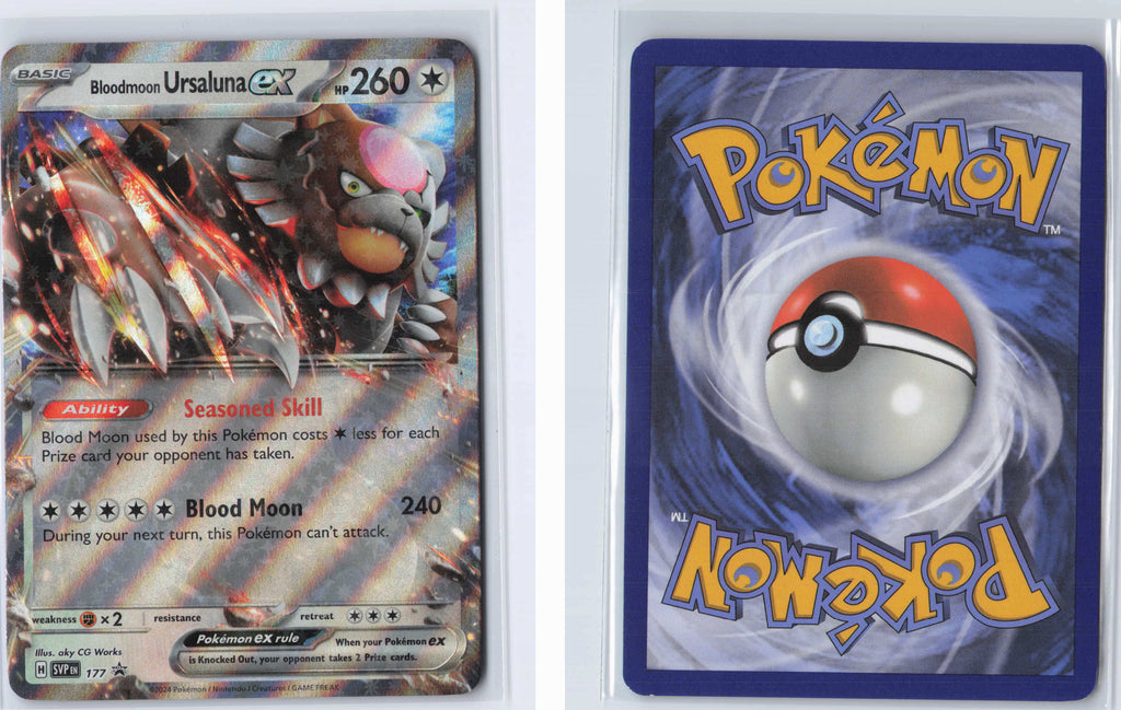 (#177) Bloodmoon Ursaluna ex [SV: Scarlet & Violet Promo Cards]