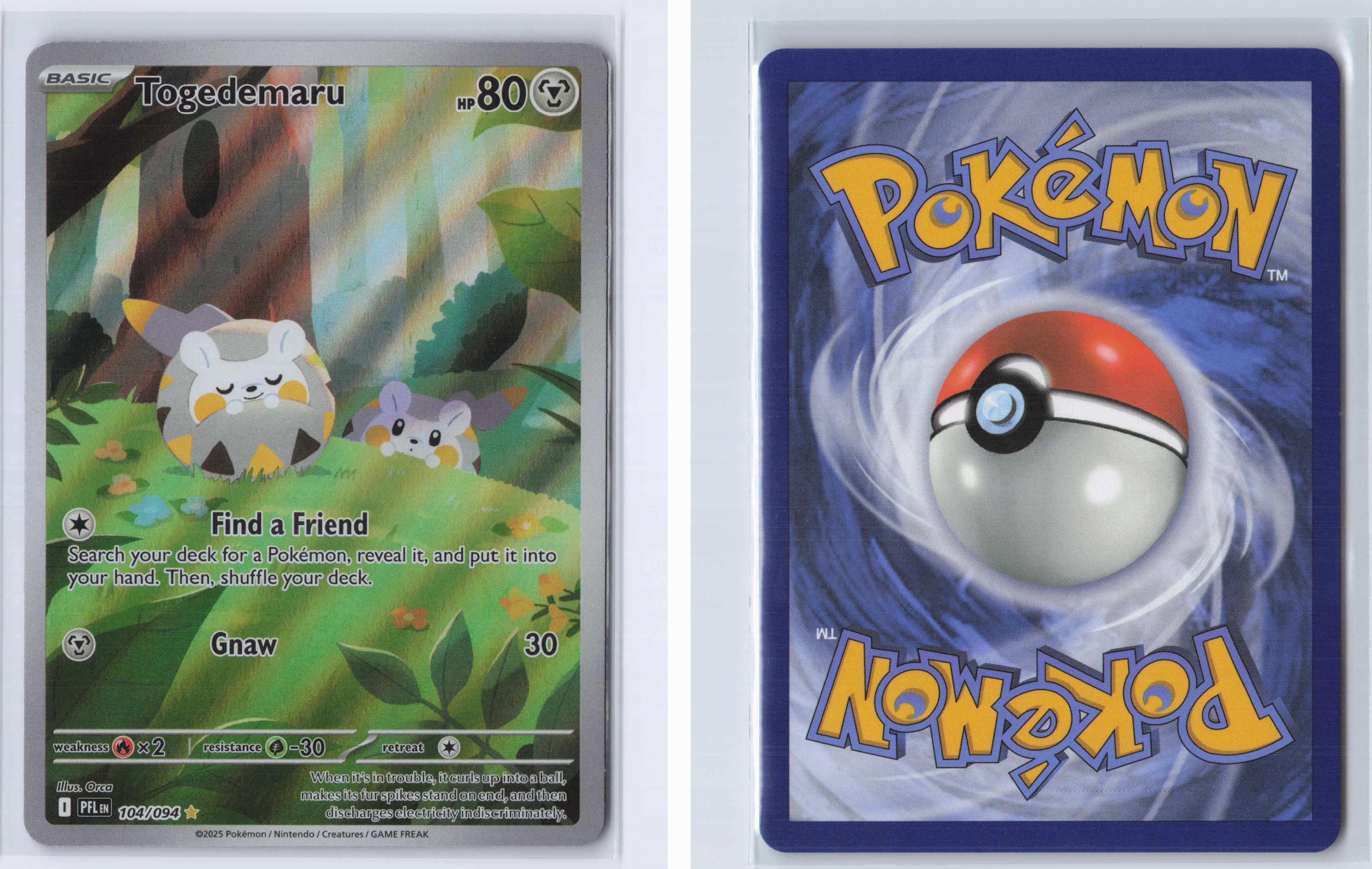 (#104/094) Togedemaru [Mega Evolutions: Phantasmal Flames]