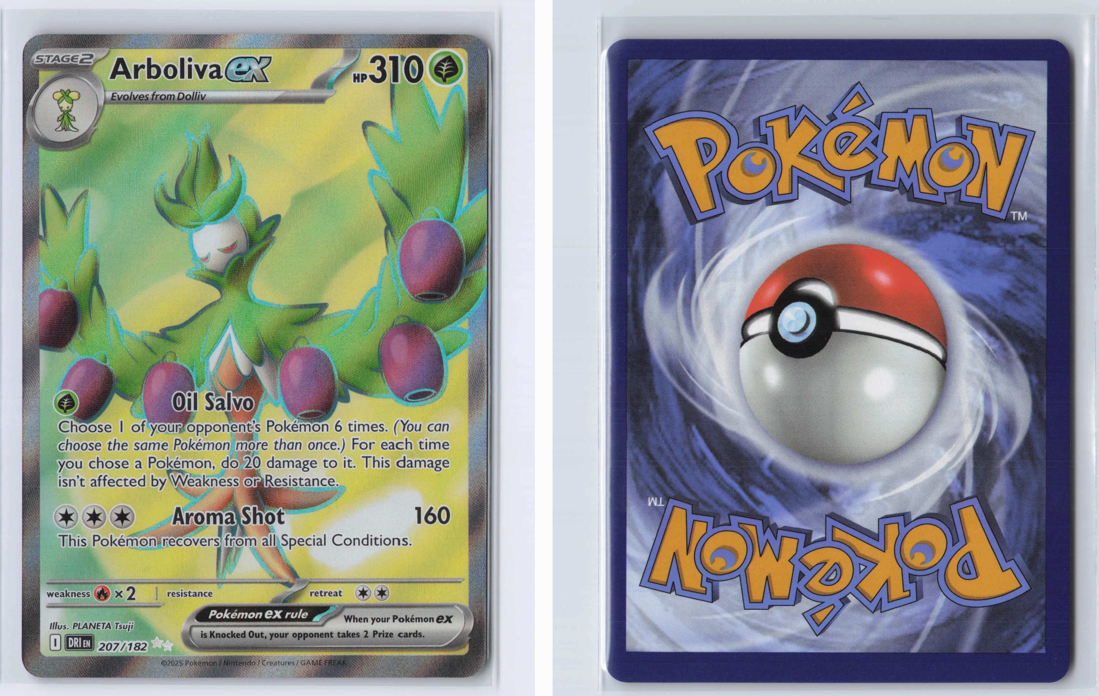 (#207/182) Arboliva ex [SV10: Destined Rivals]