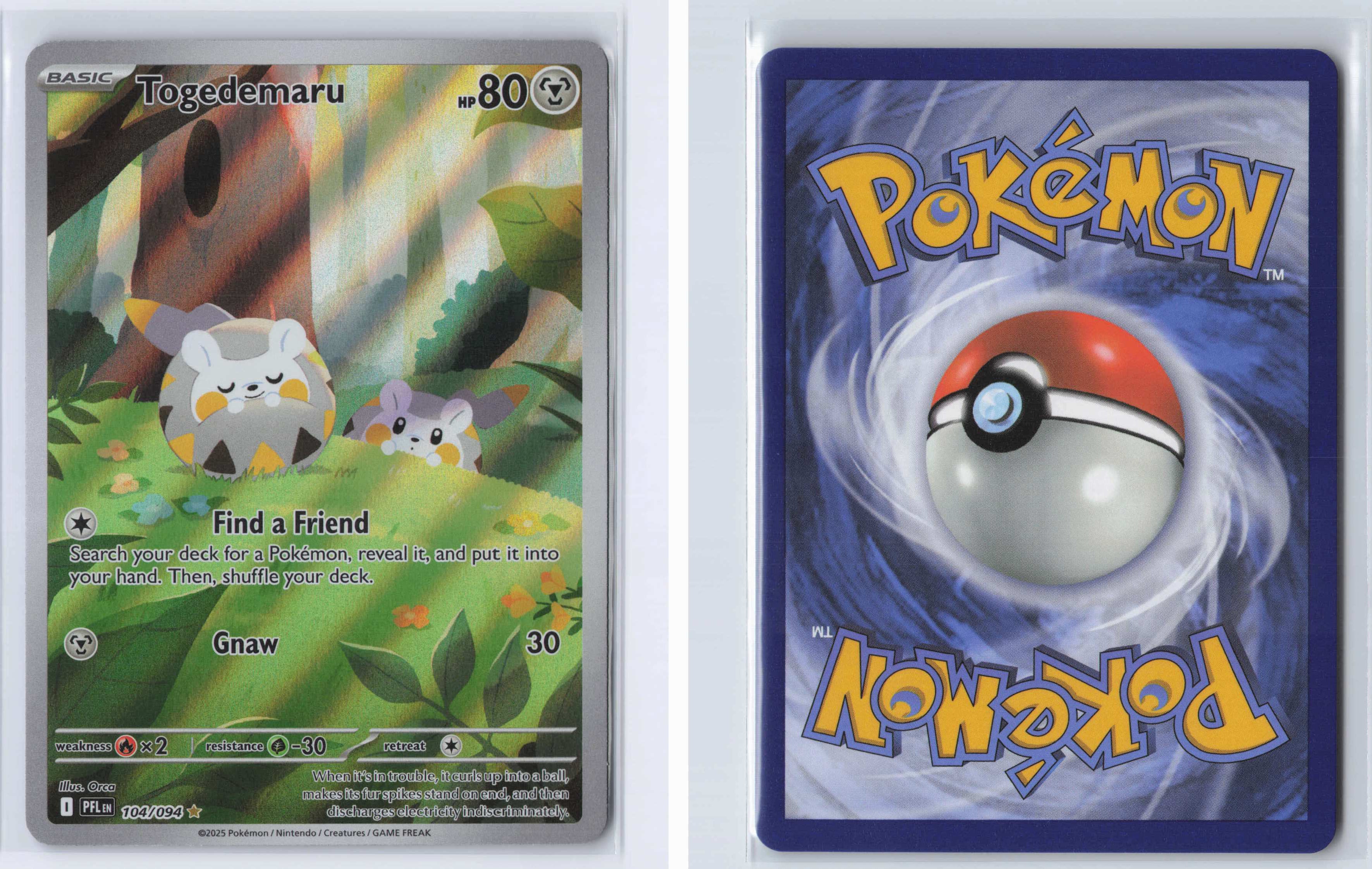 (#104/094) Togedemaru [Mega Evolutions: Phantasmal Flames]