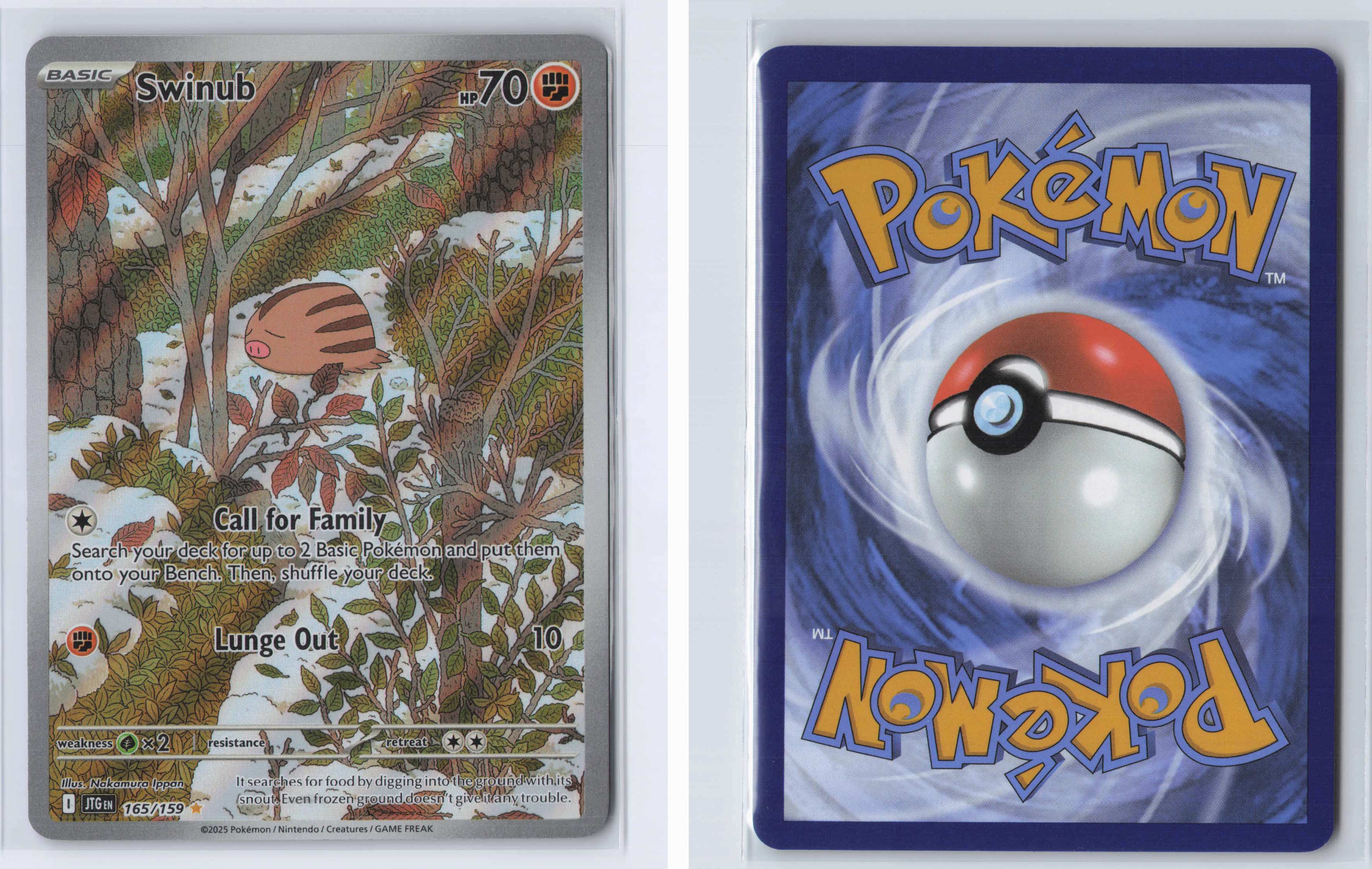 (#165/159) Swinub [SV09: Journey Together]