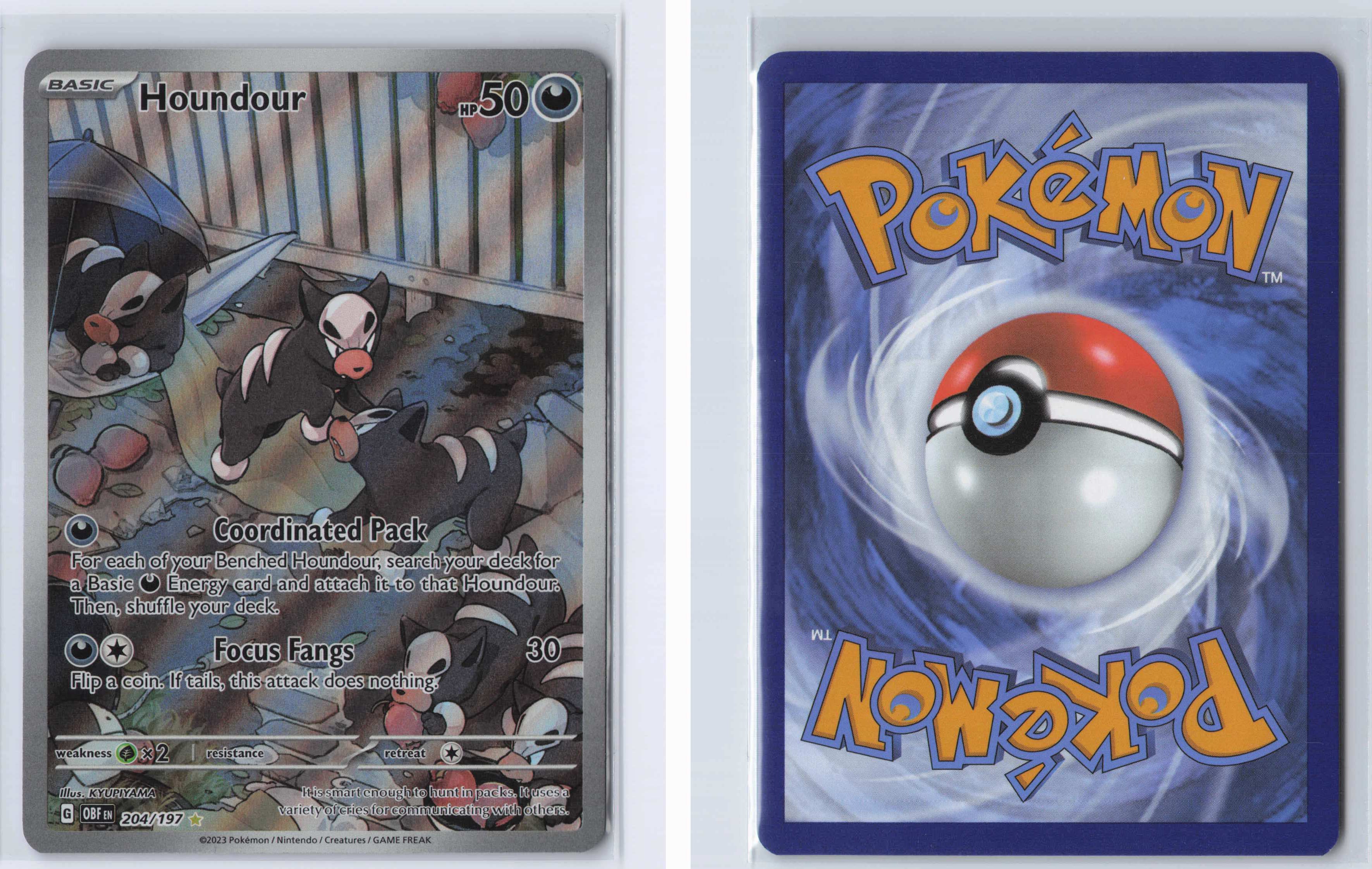 (#204/197) Houndour [SV03: Obsidian Flames]