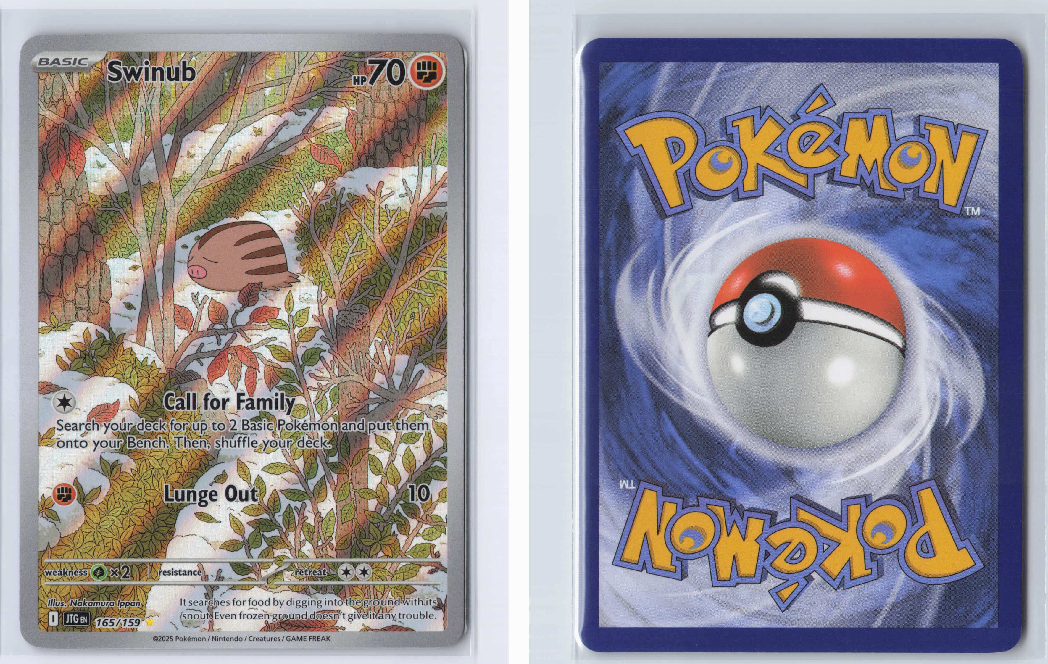 (#165/159) Swinub [SV09: Journey Together]
