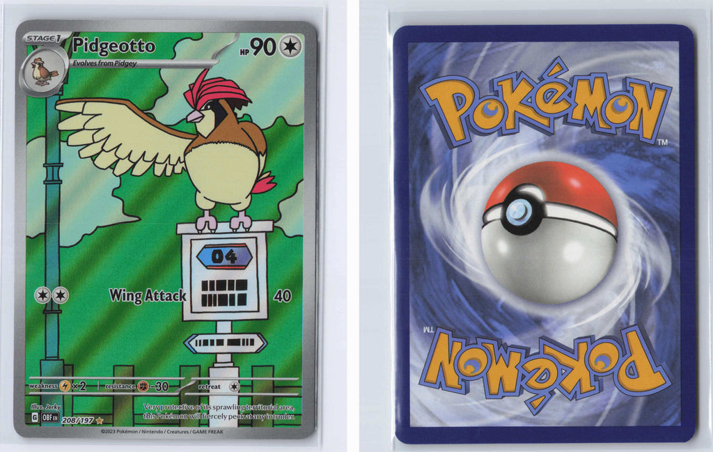 (#208/197) Pidgeotto [SV03: Obsidian Flames]