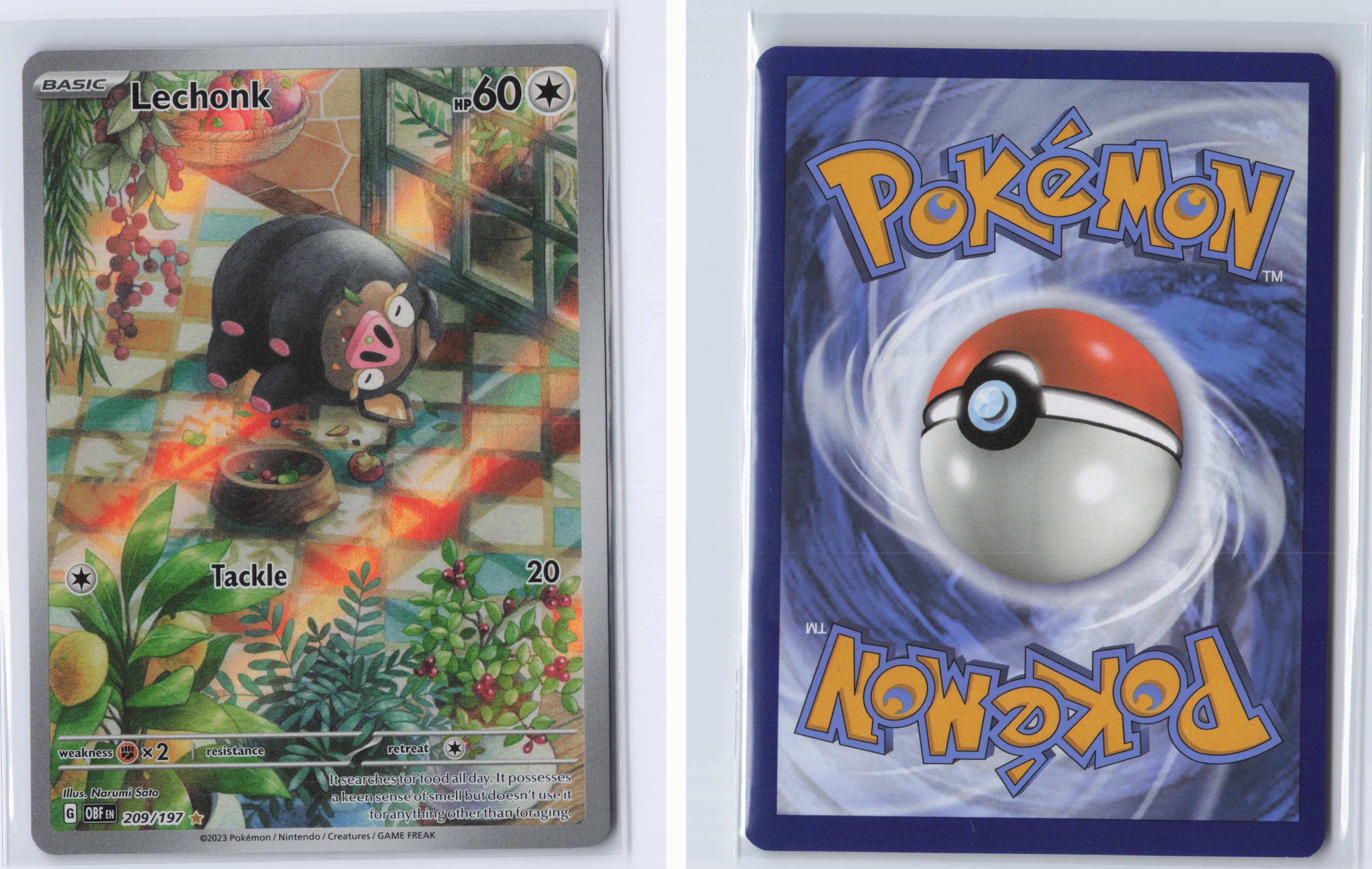 (#209/197) Lechonk [SV03: Obsidian Flames]