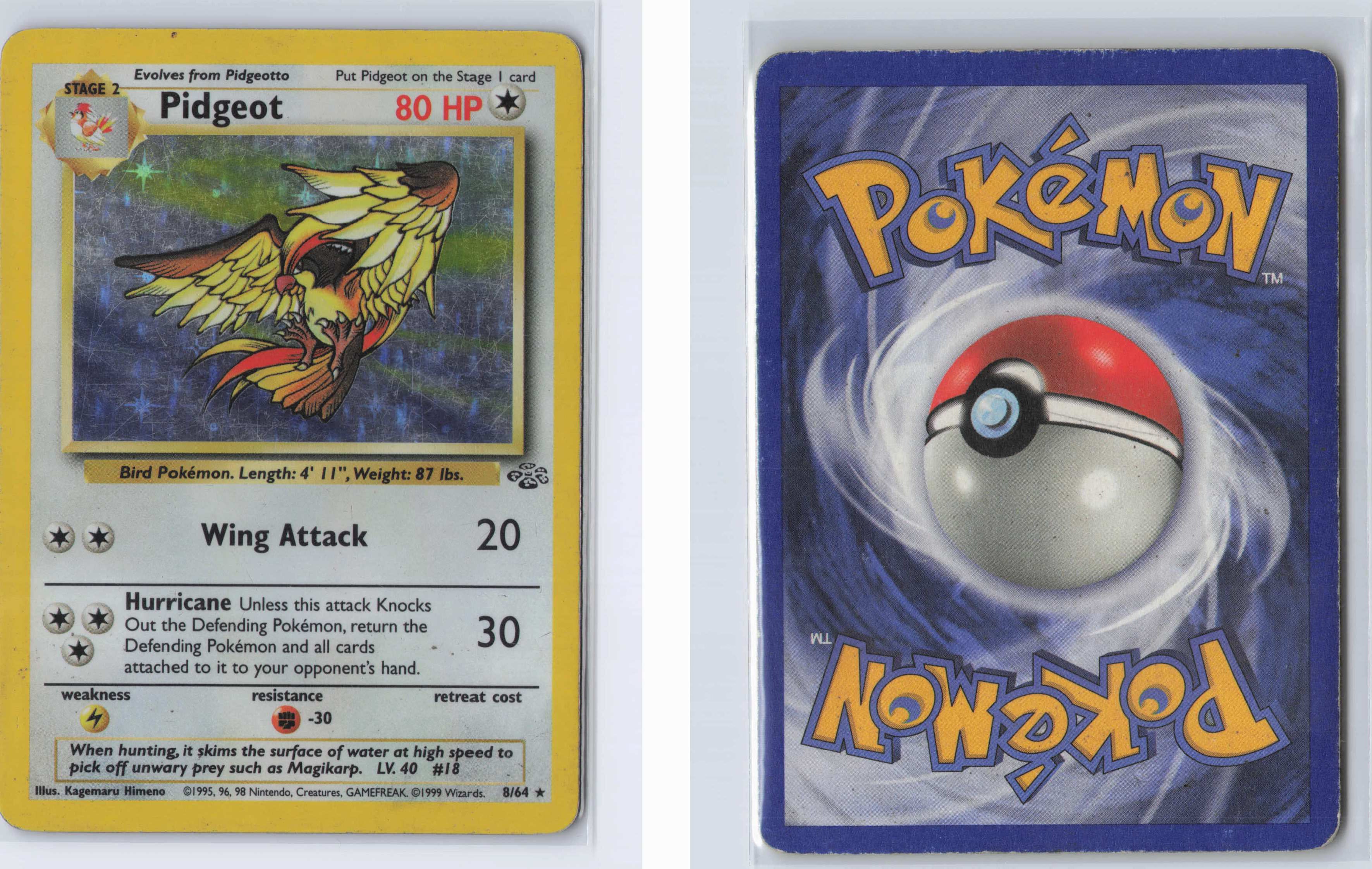 (#08/64) Pidgeot (8) [Jungle]