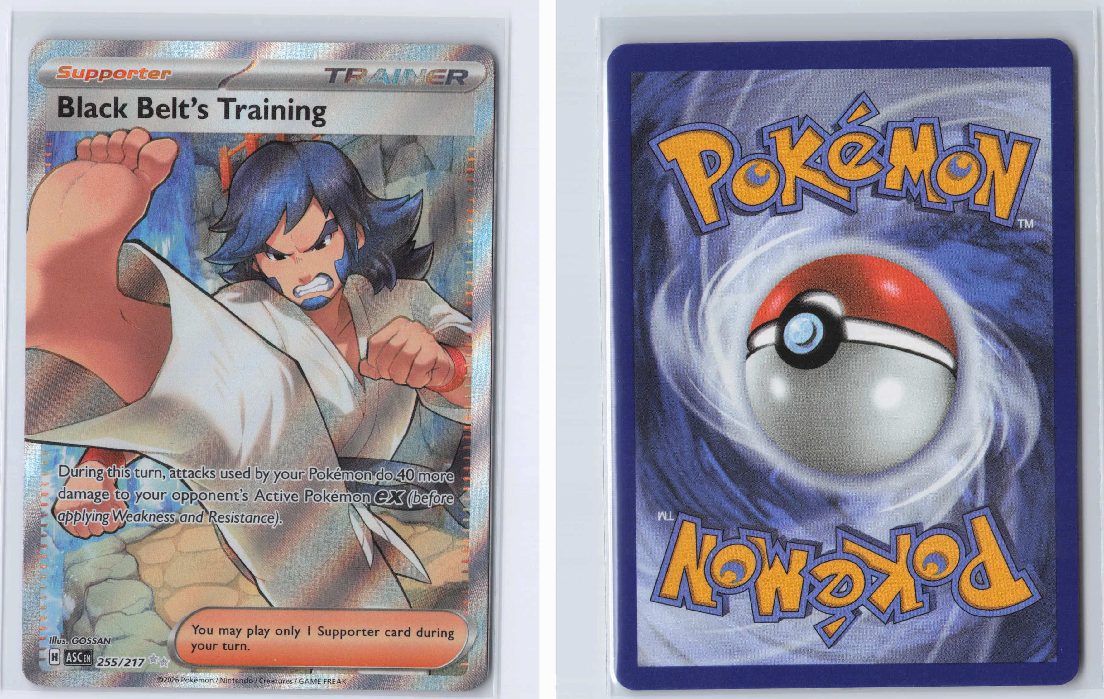 (#255/217) Black Belt's Training [ME: Ascended Heroes]