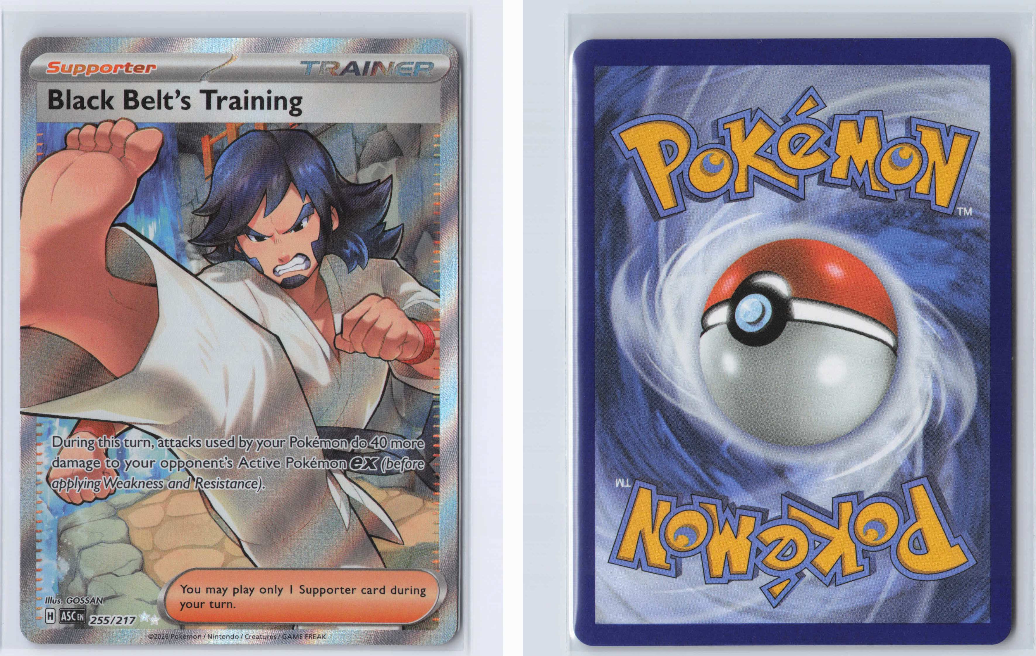 (#255/217) Black Belt's Training [ME: Ascended Heroes]