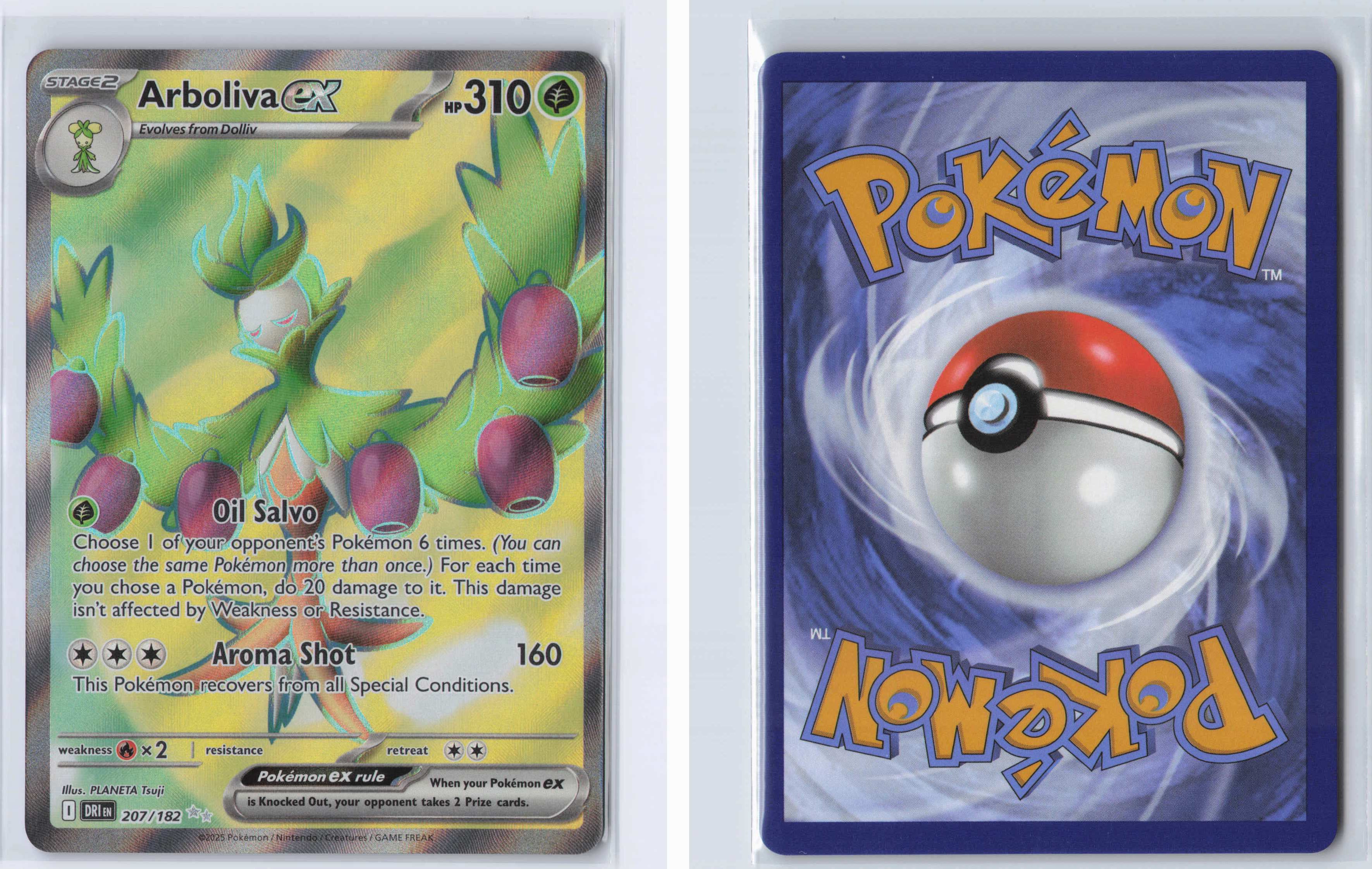 (#207/182) Arboliva ex [SV10: Destined Rivals]