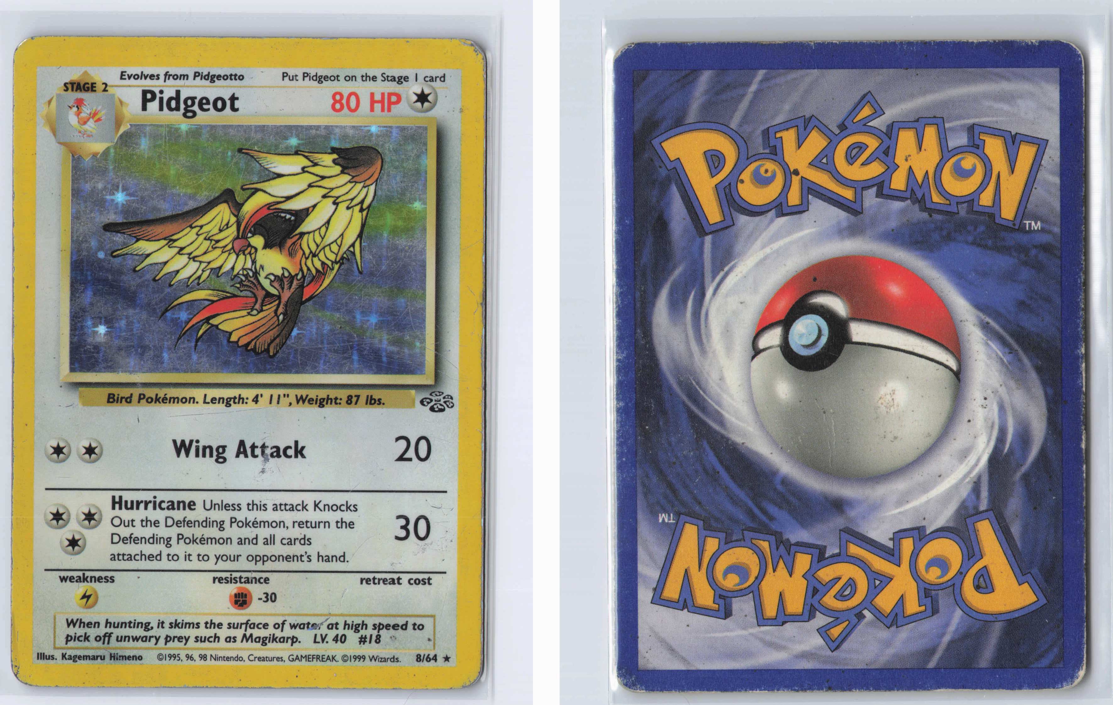 (#08/64) Pidgeot (8) [Jungle]