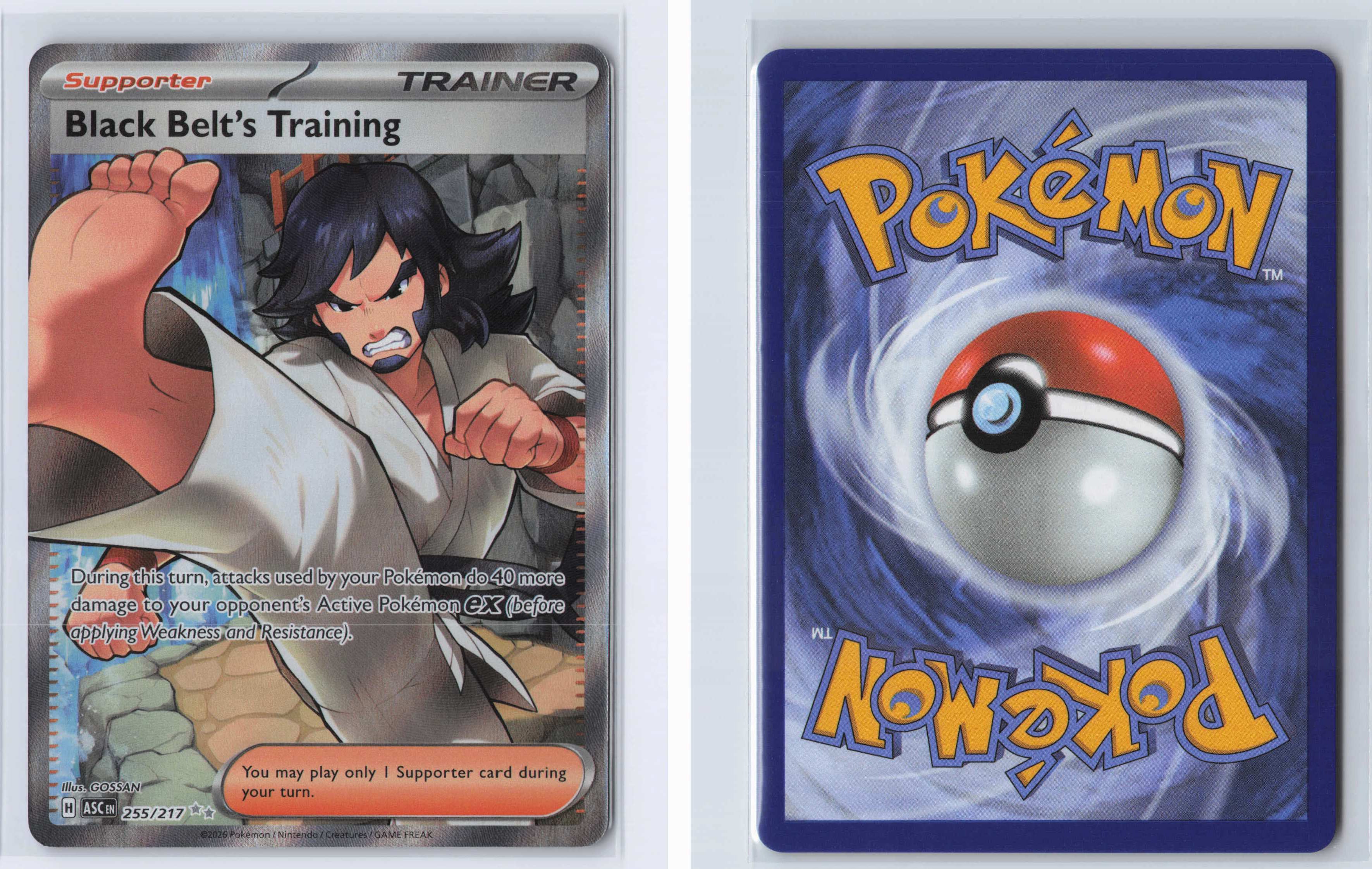 (#255/217) Black Belt's Training [ME: Ascended Heroes]