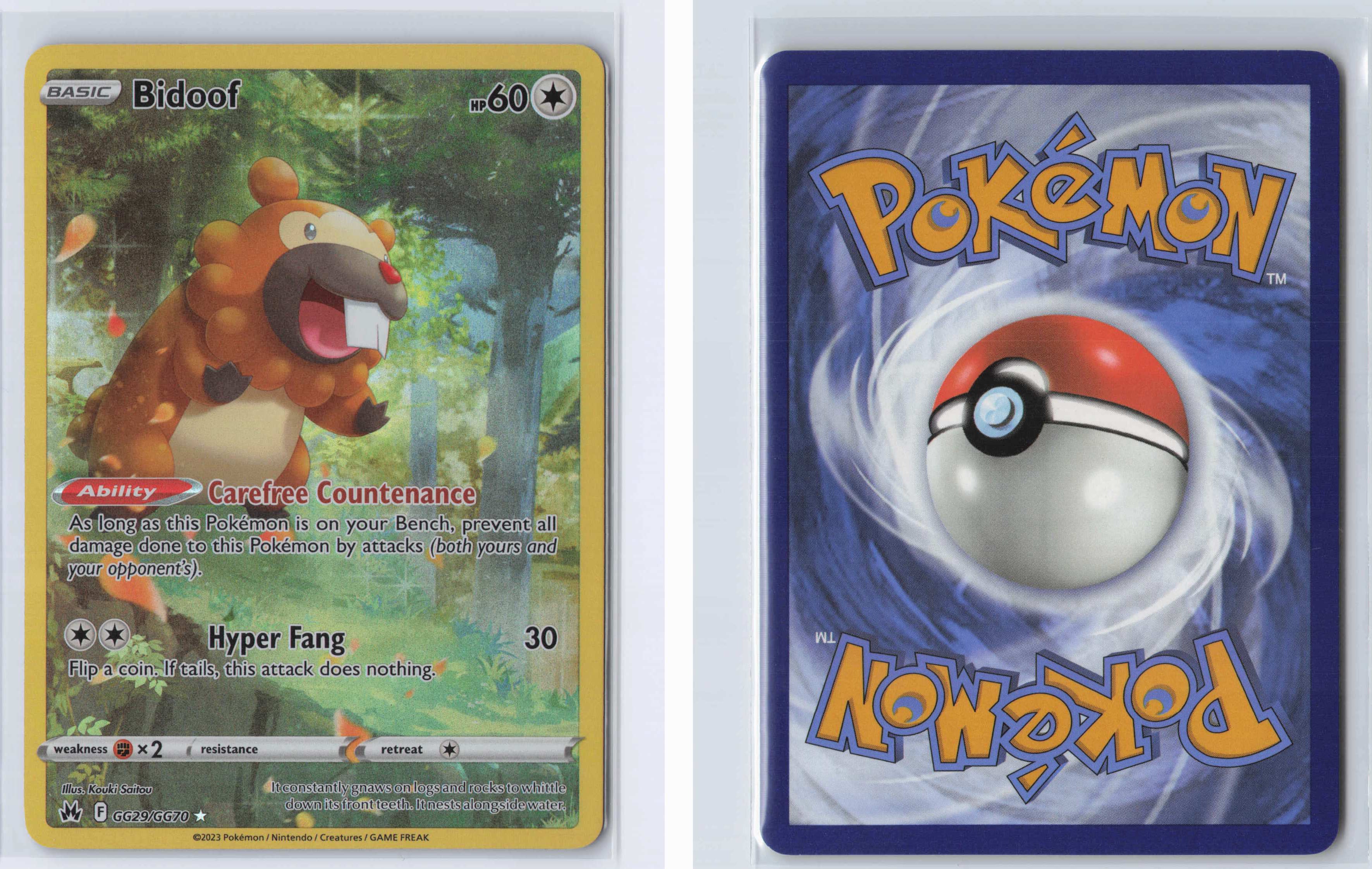 (#GG29/GG70) Bidoof [Crown Zenith: Galarian Gallery]