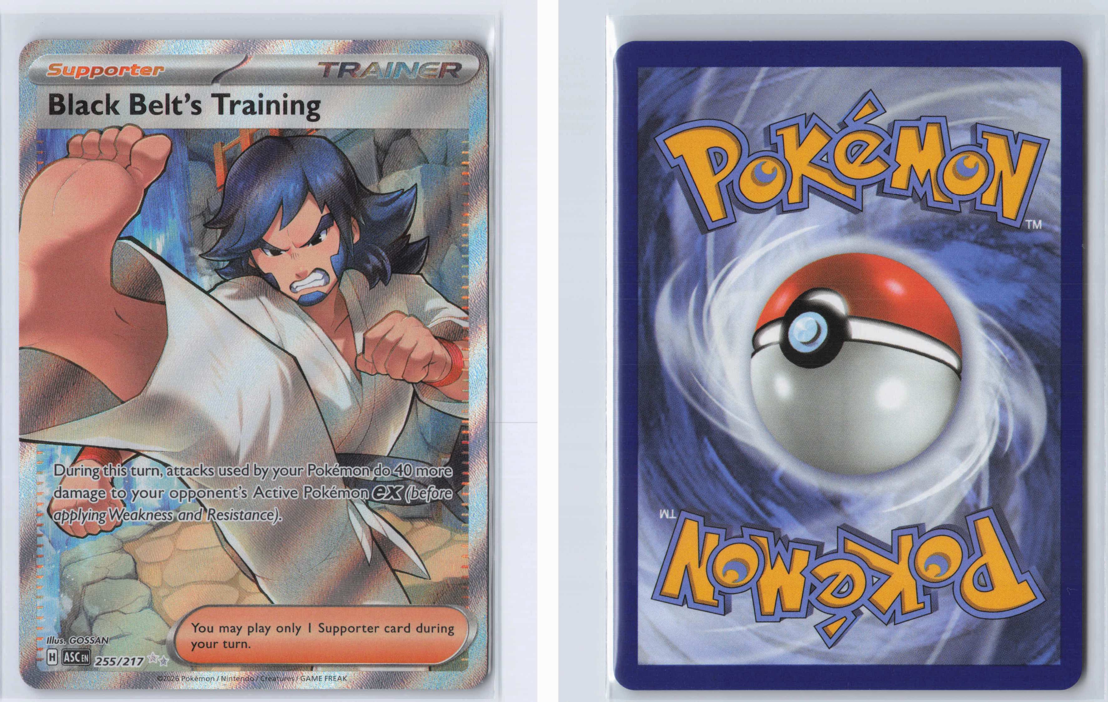(#255/217) Black Belt's Training [ME: Ascended Heroes]