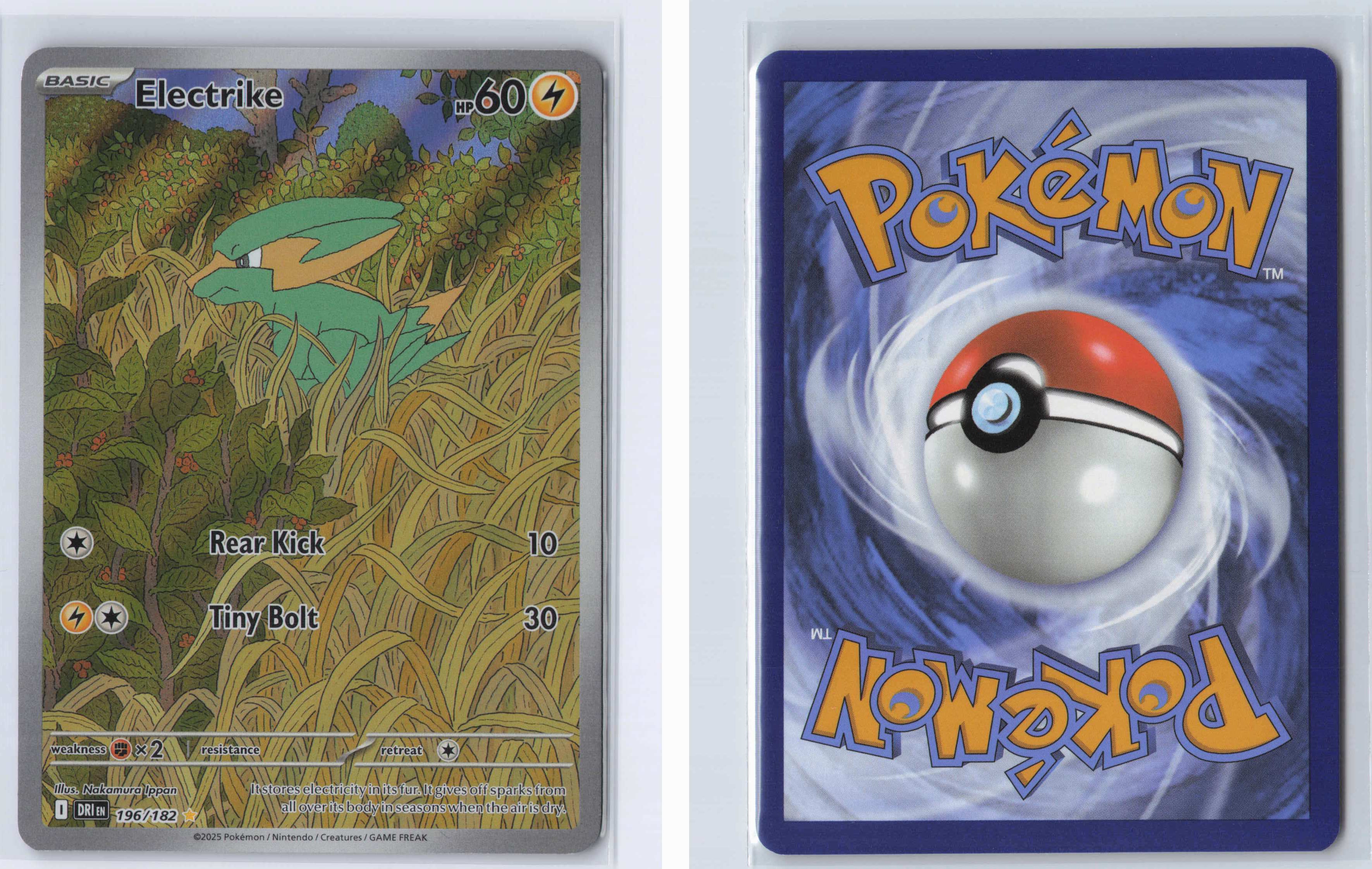 (#196/182) Electrike [SV10: Destined Rivals]