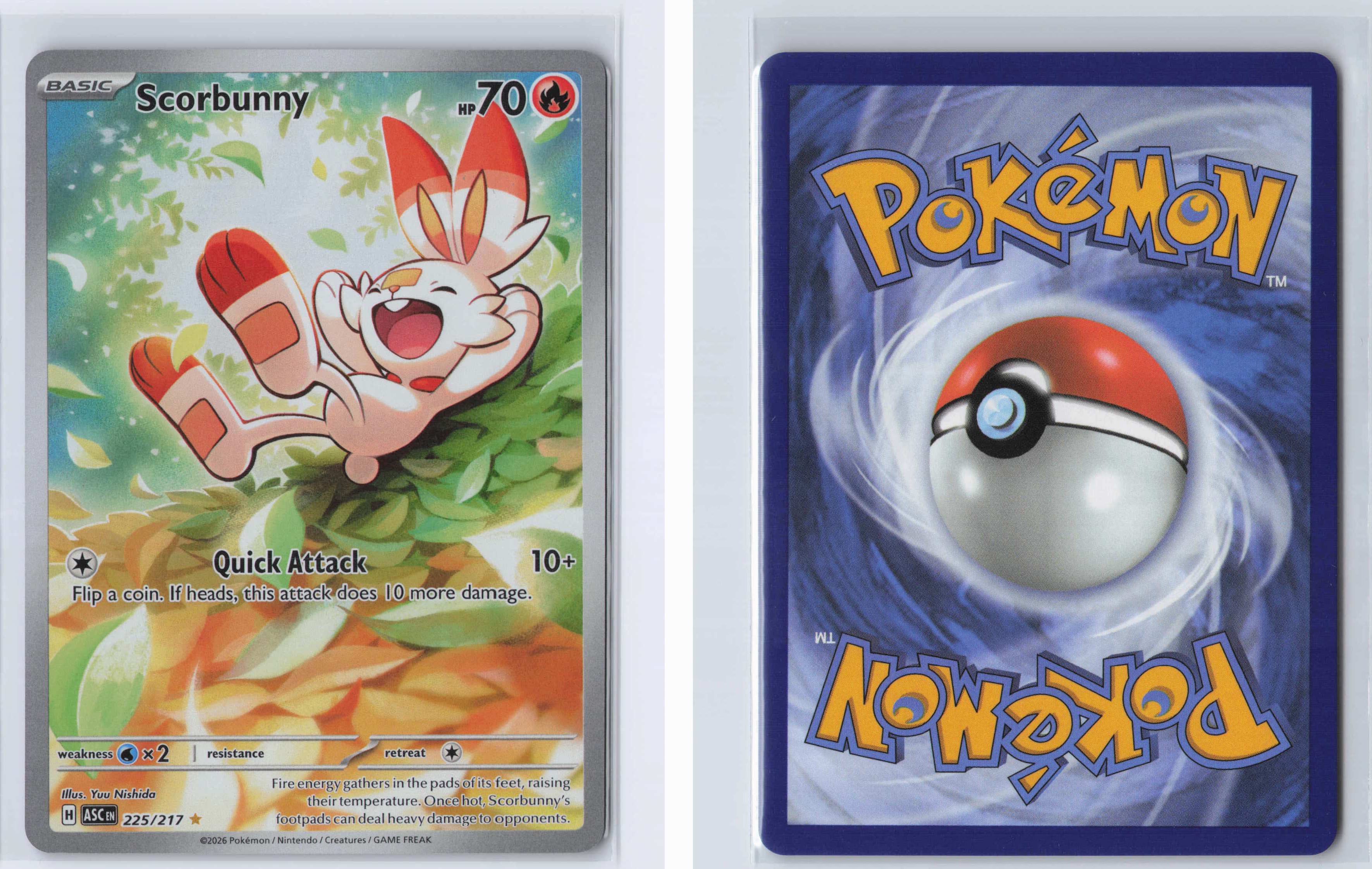 (#225/217) Scorbunny [ME: Ascended Heroes]
