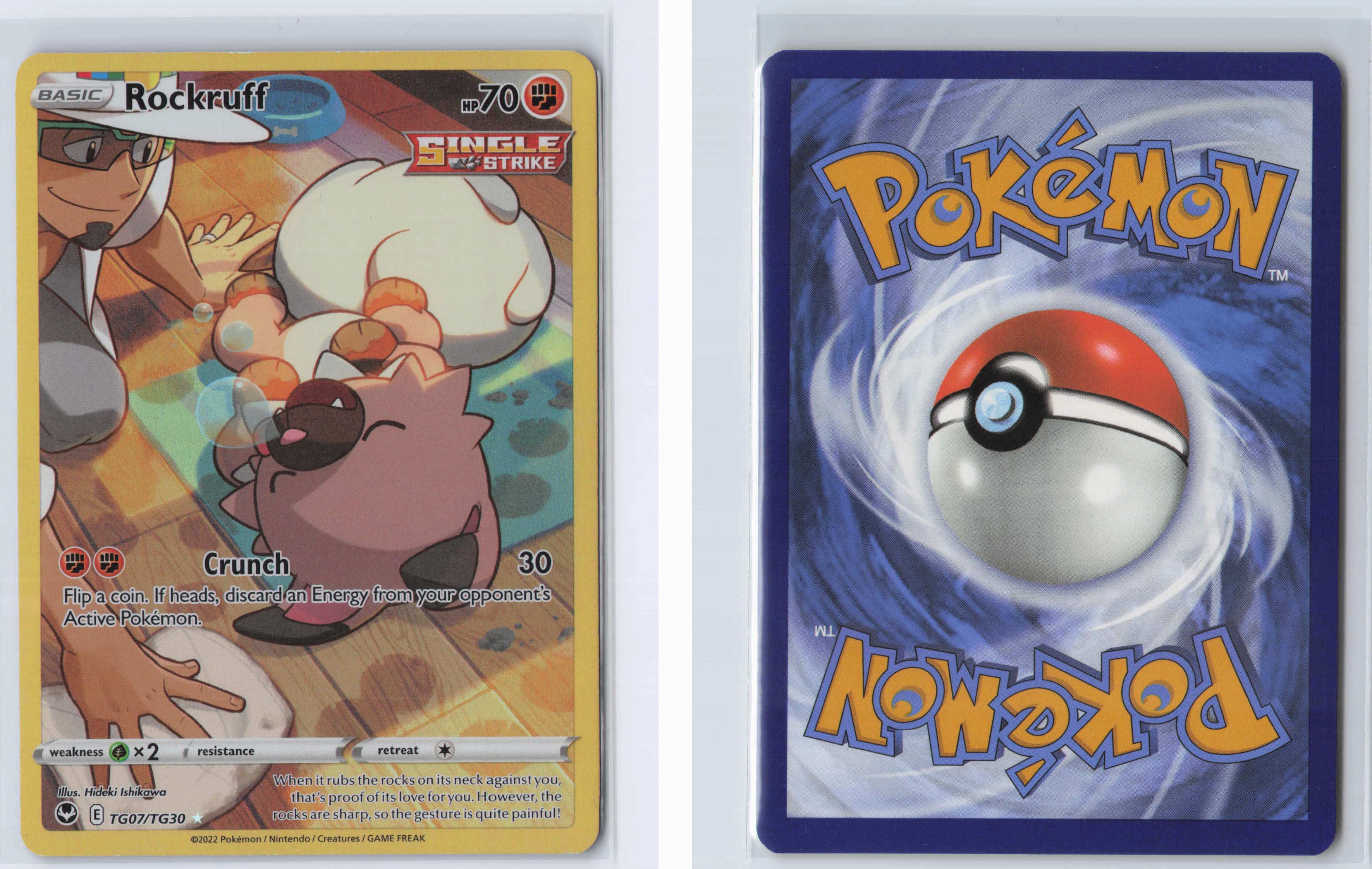 (#TG07/TG30) Rockruff [SWSH12: Silver Tempest Trainer Gallery]