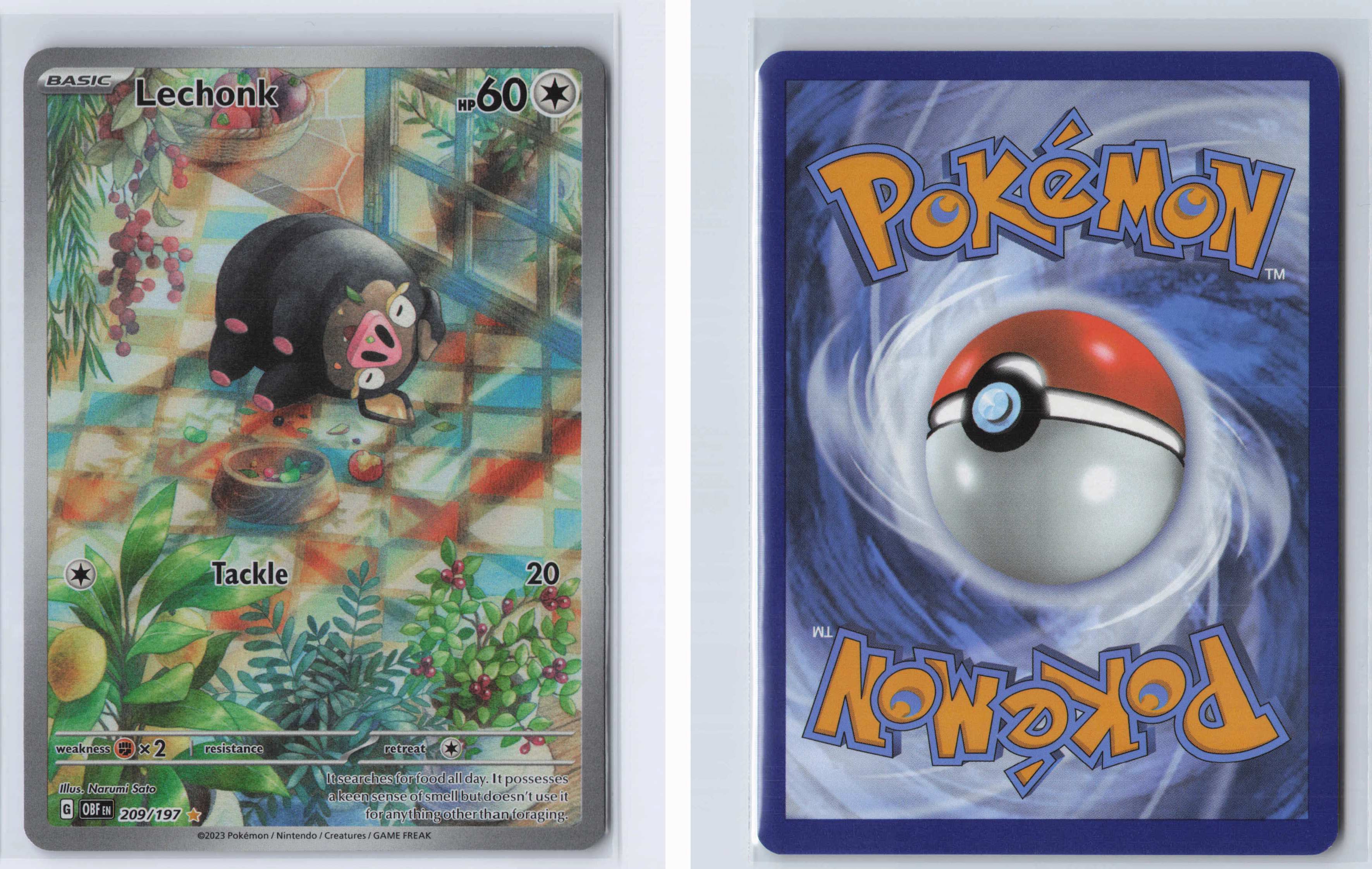 (#209/197) Lechonk [SV03: Obsidian Flames]