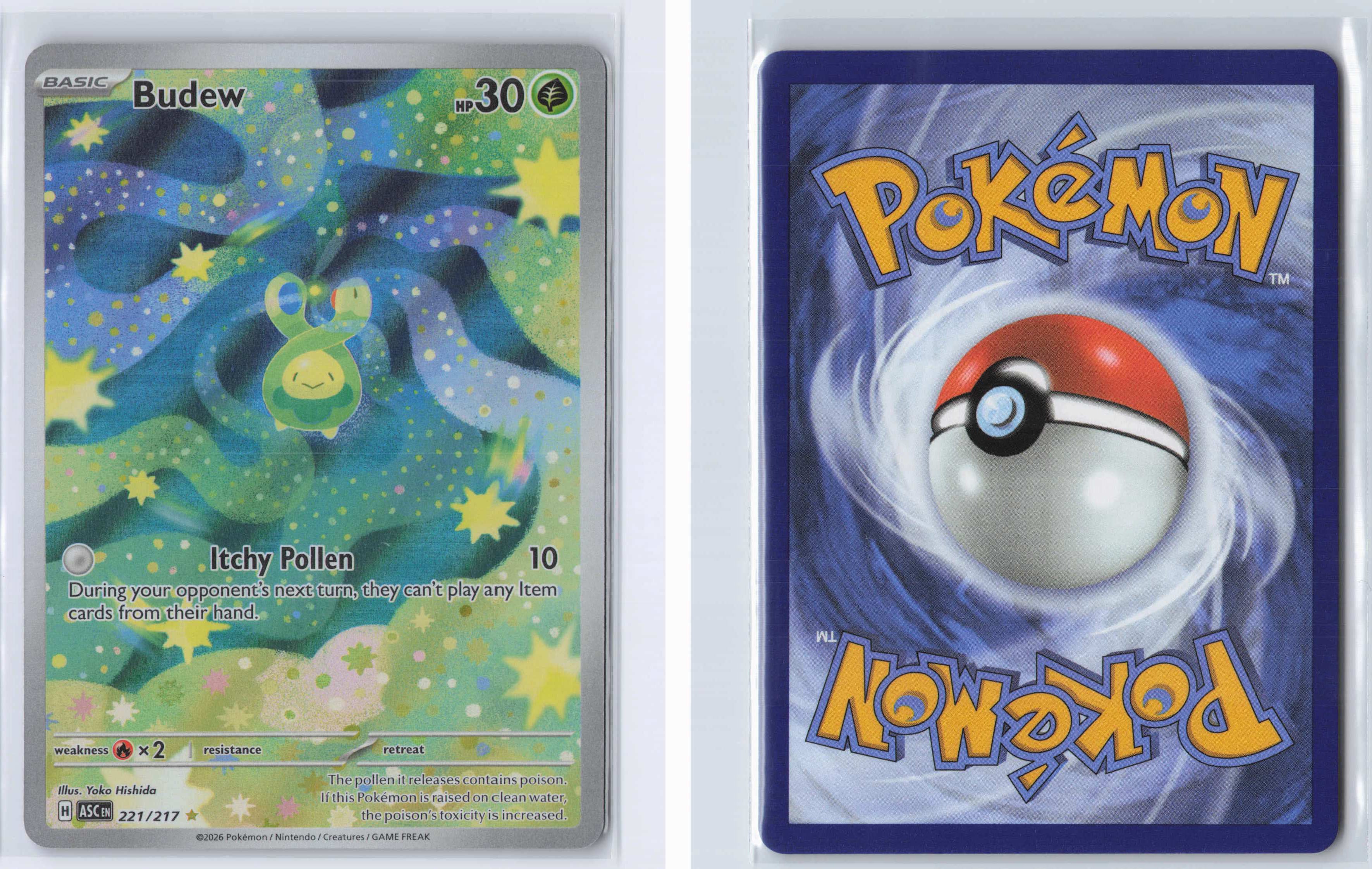 (#221/217) Budew [ME: Ascended Heroes]