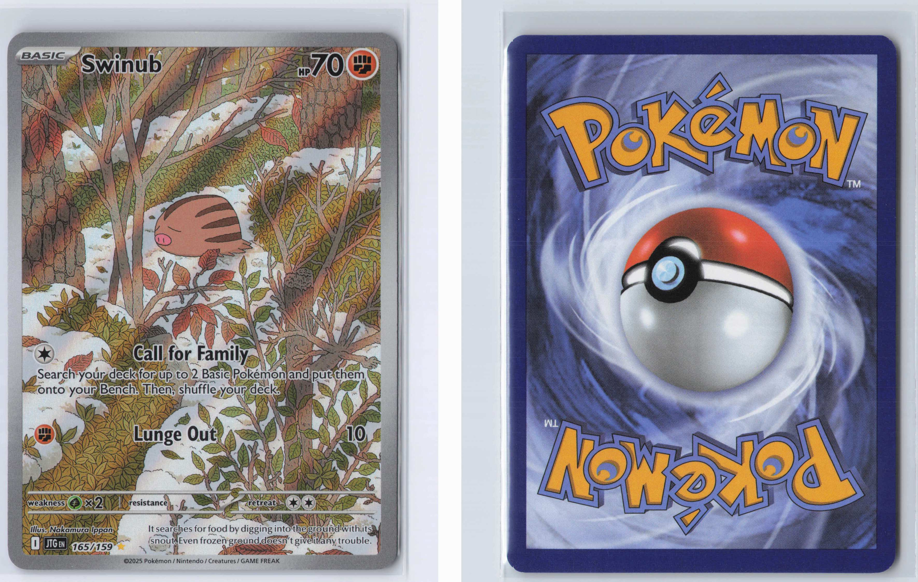 (#165/159) Swinub [SV09: Journey Together]