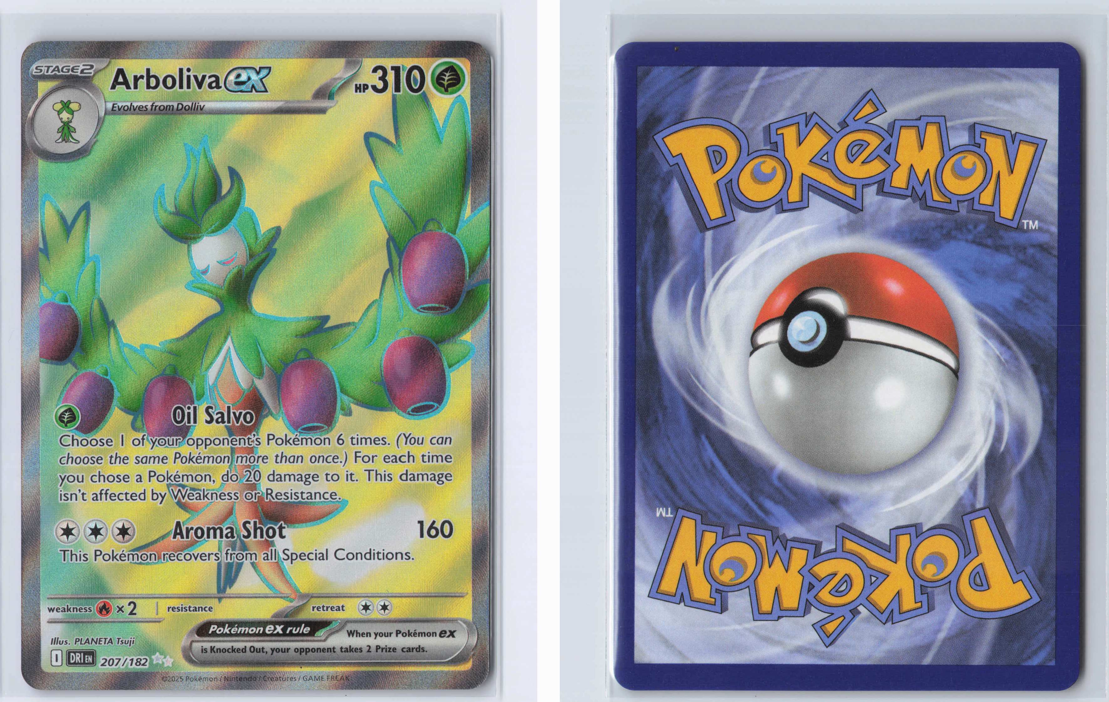 (#207/182) Arboliva ex [SV10: Destined Rivals]