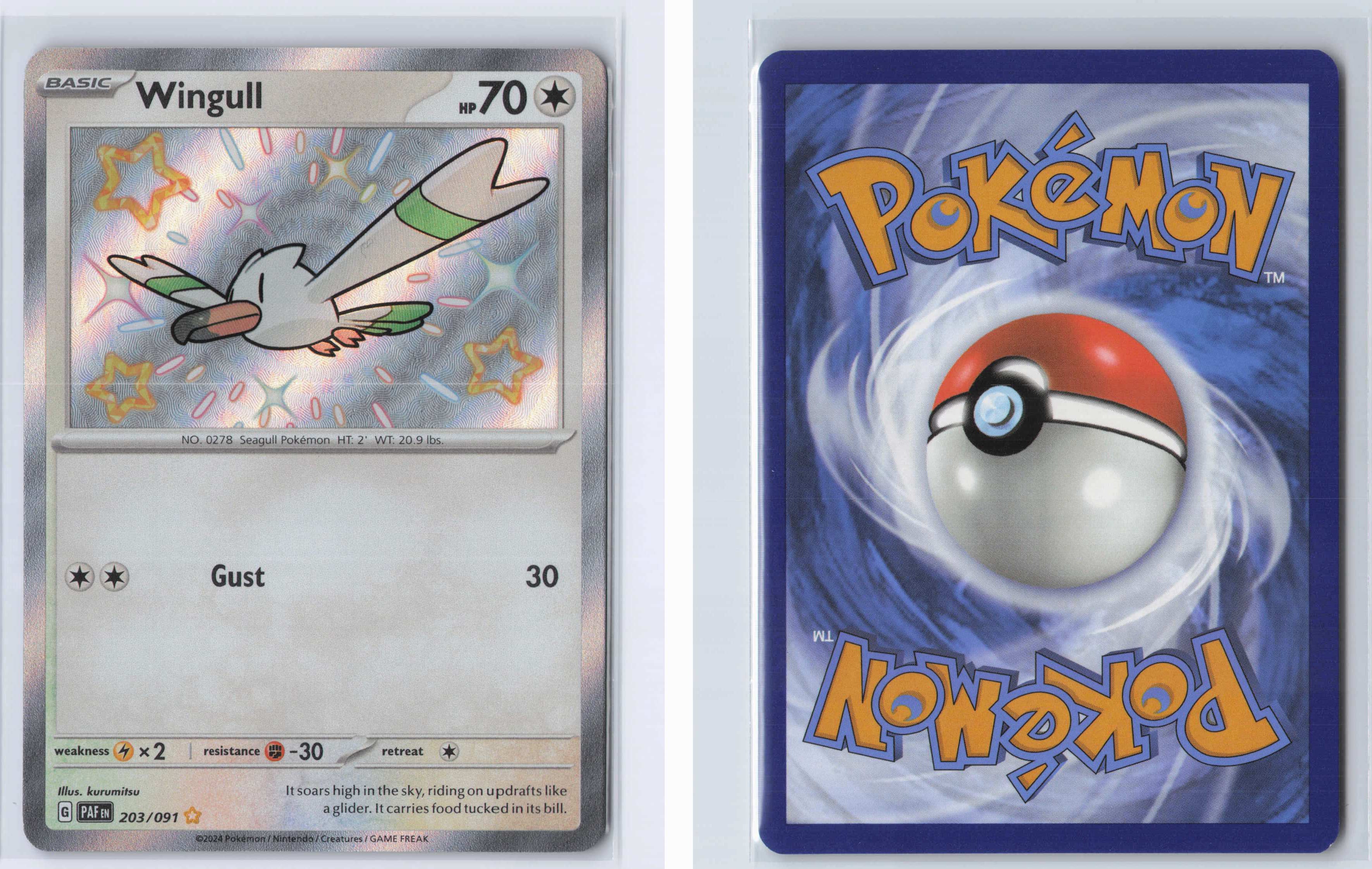 (#203/091) Wingull [SV: Paldean Fates]