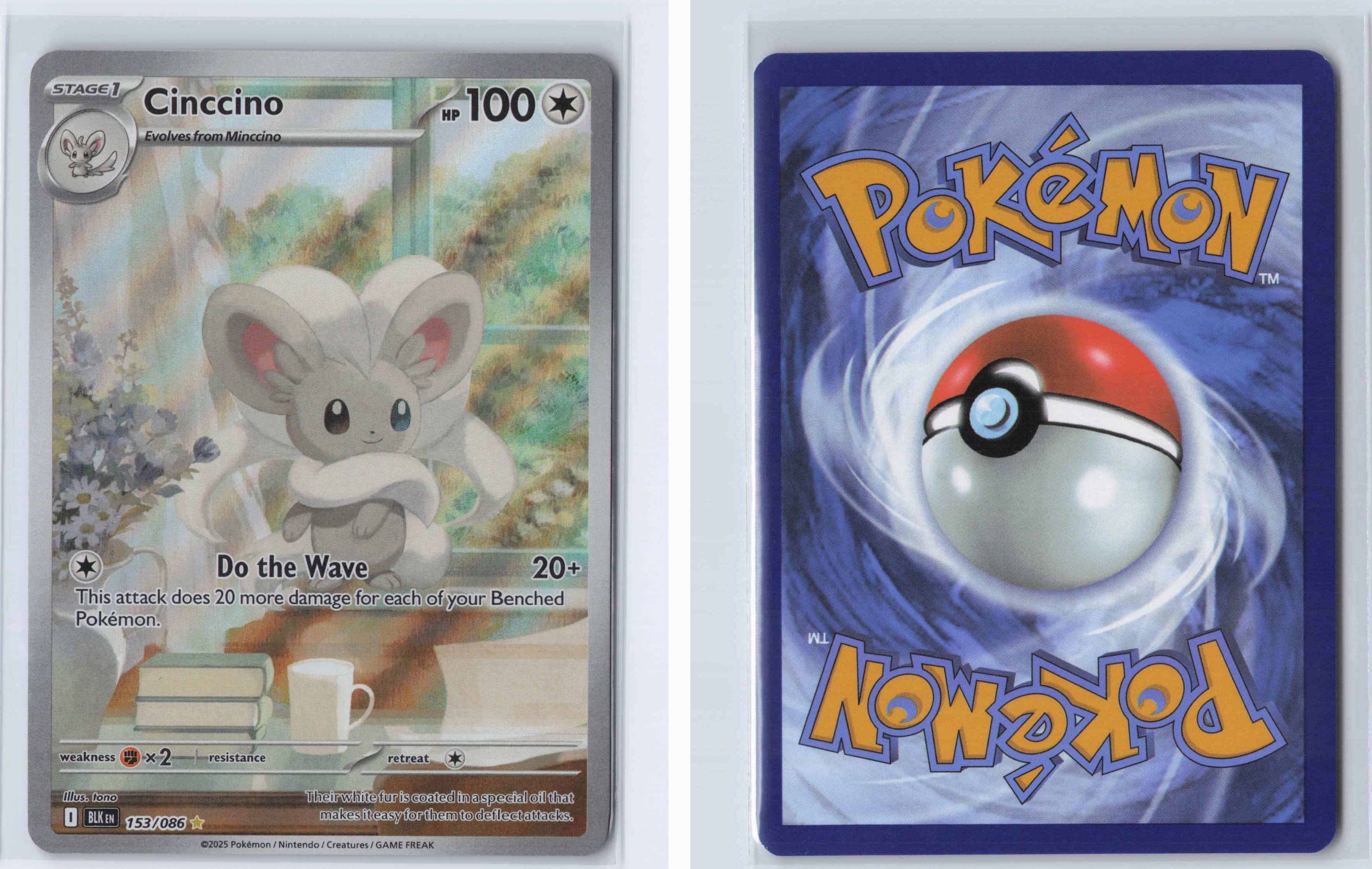 (#153/086) Cinccino [SV: Black Bolt]