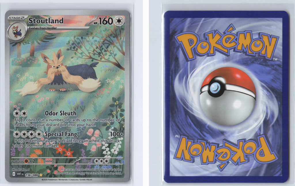 (#156/086) Stoutland [SV: White Flare]