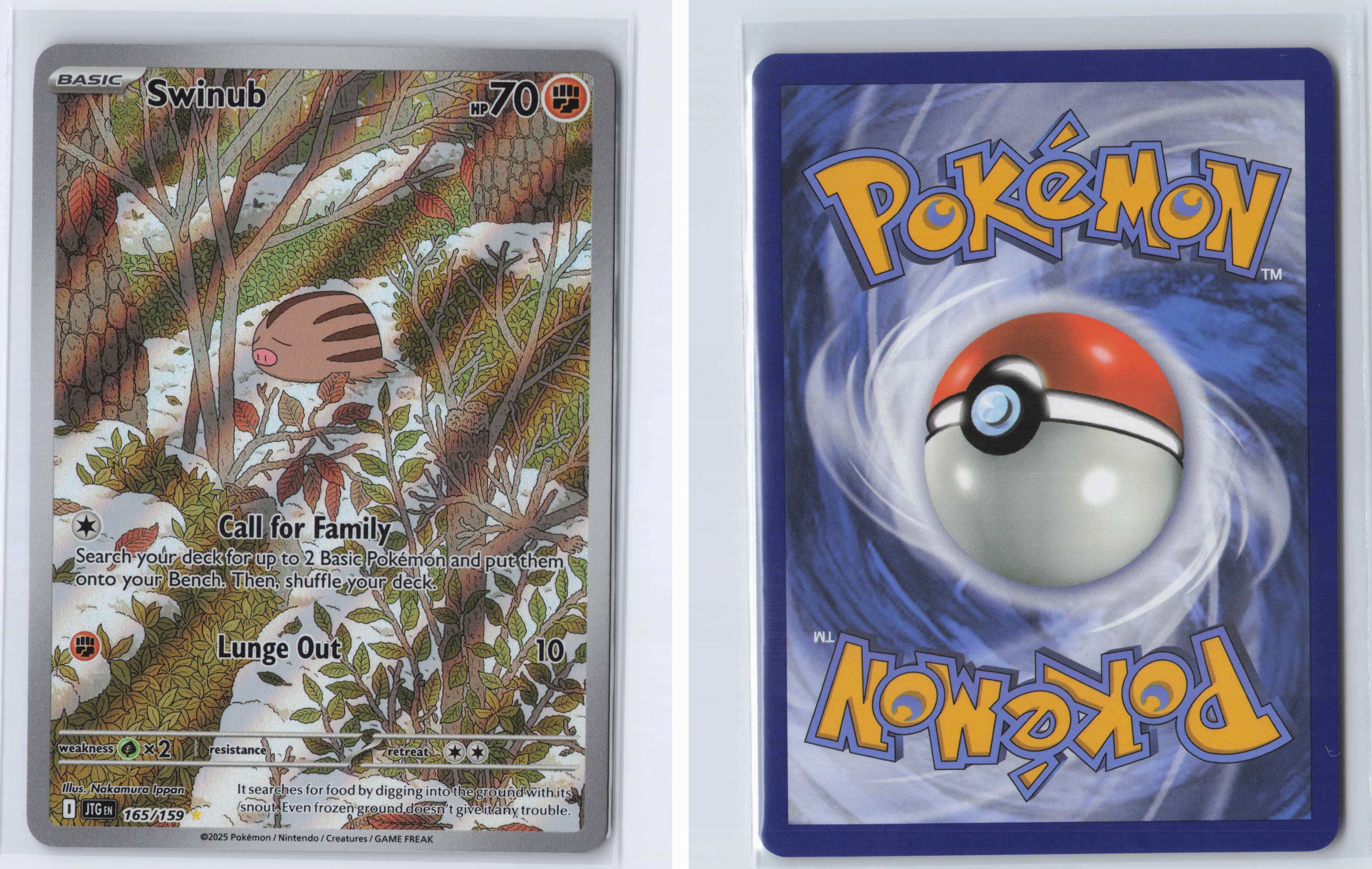 (#165/159) Swinub [SV09: Journey Together]