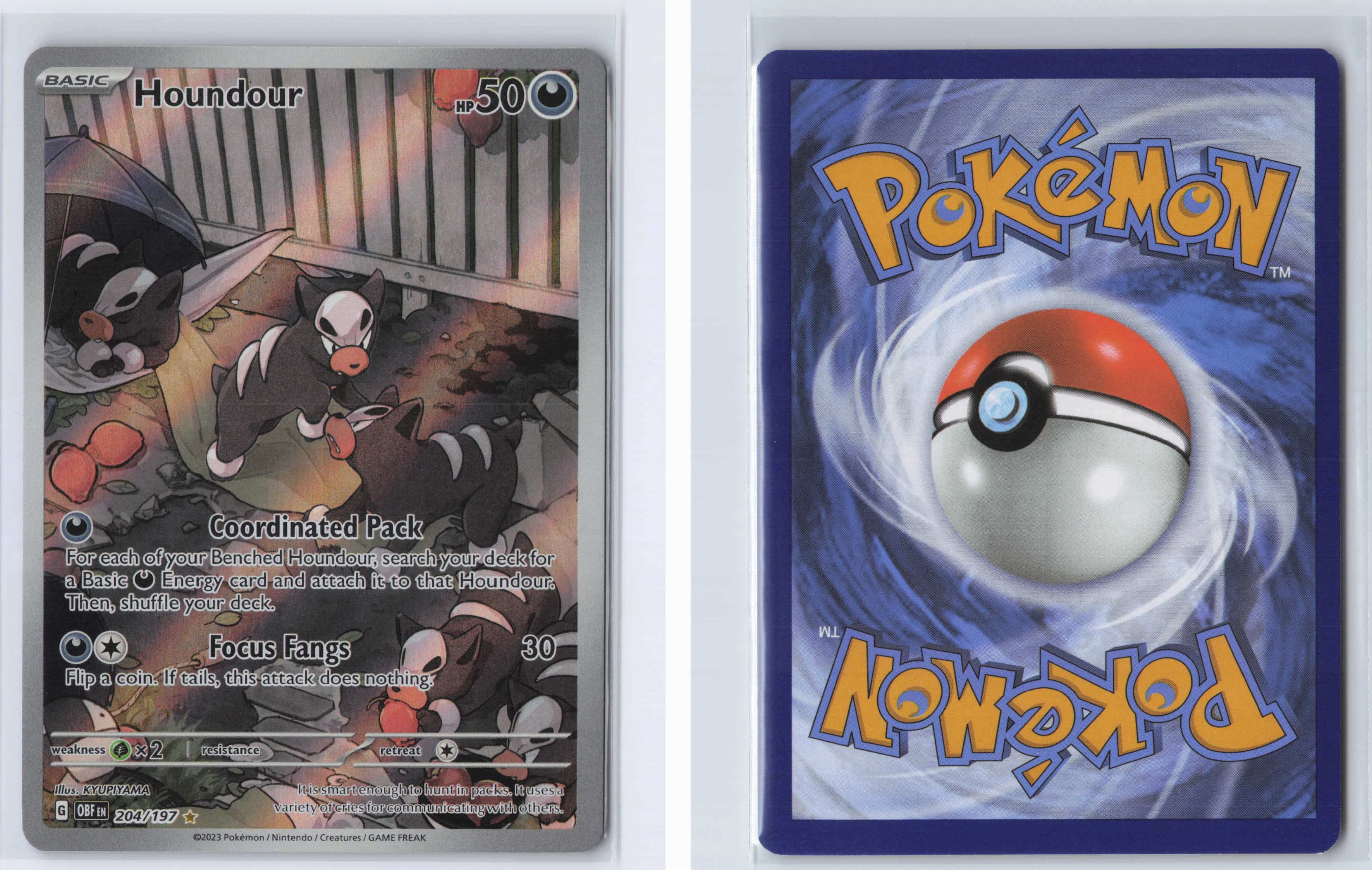 (#204/197) Houndour [SV03: Obsidian Flames]