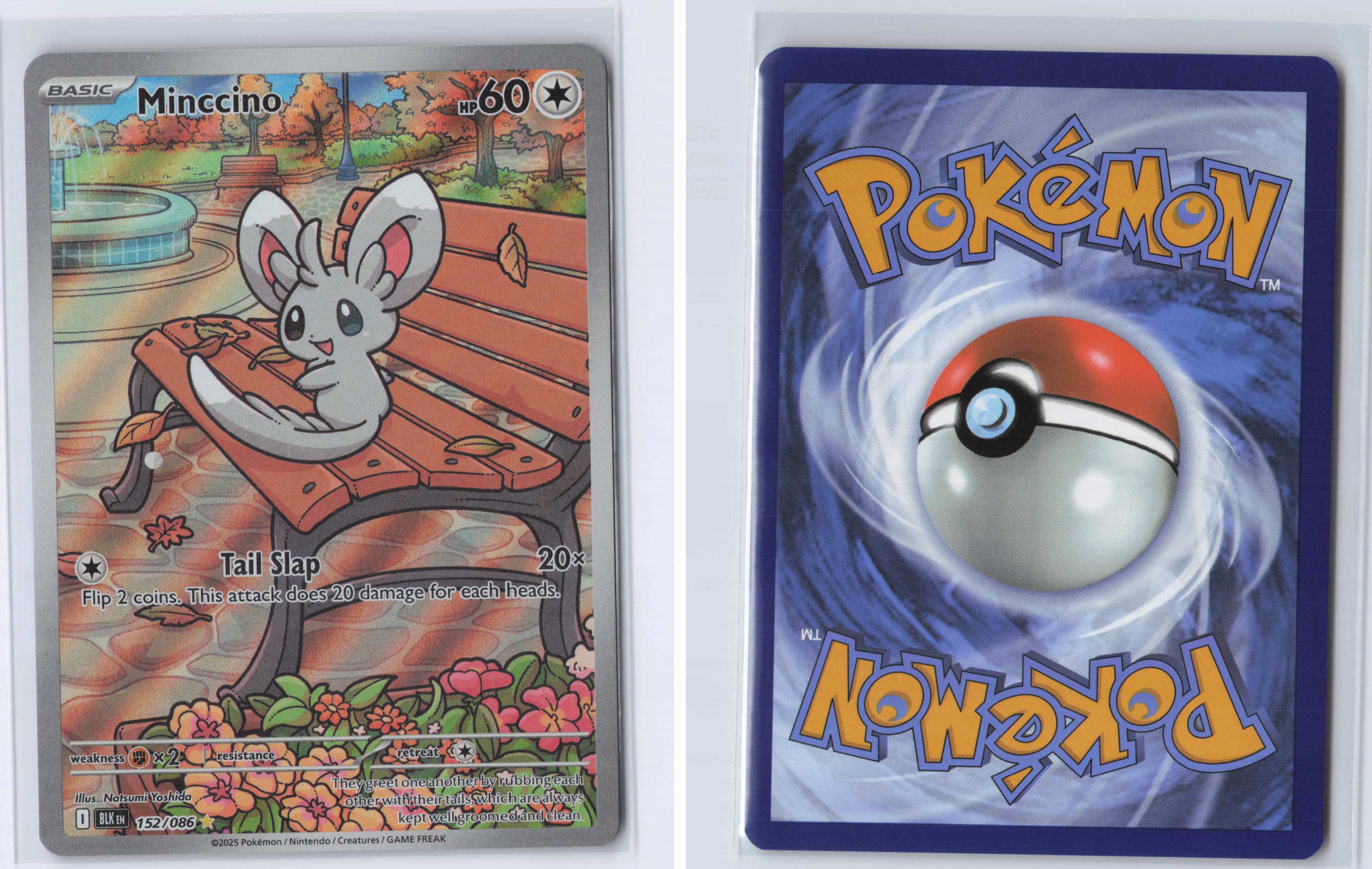 (#152/086) Minccino [SV: Black Bolt]
