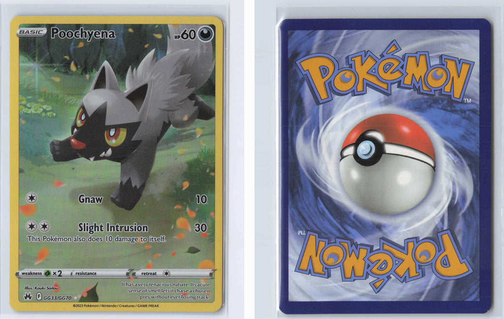 (#GG33/GG70) Poochyena [SWSH: Crown Zenith: Galarian Gallery]