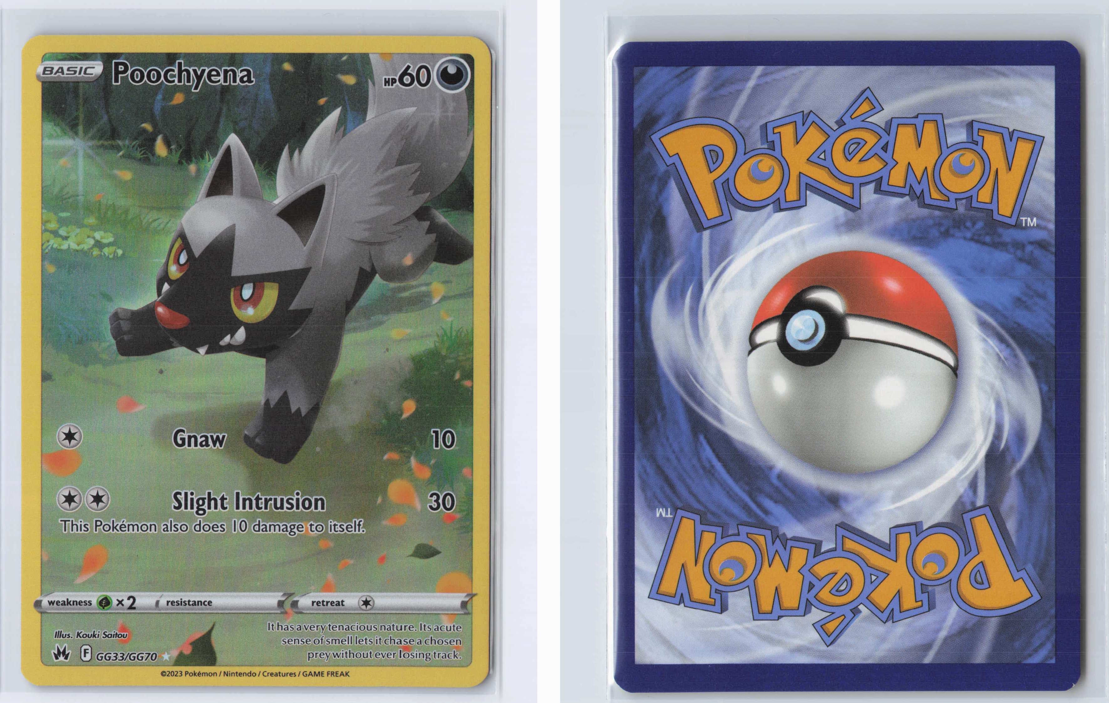 (#GG33/GG70) Poochyena [SWSH: Crown Zenith: Galarian Gallery]