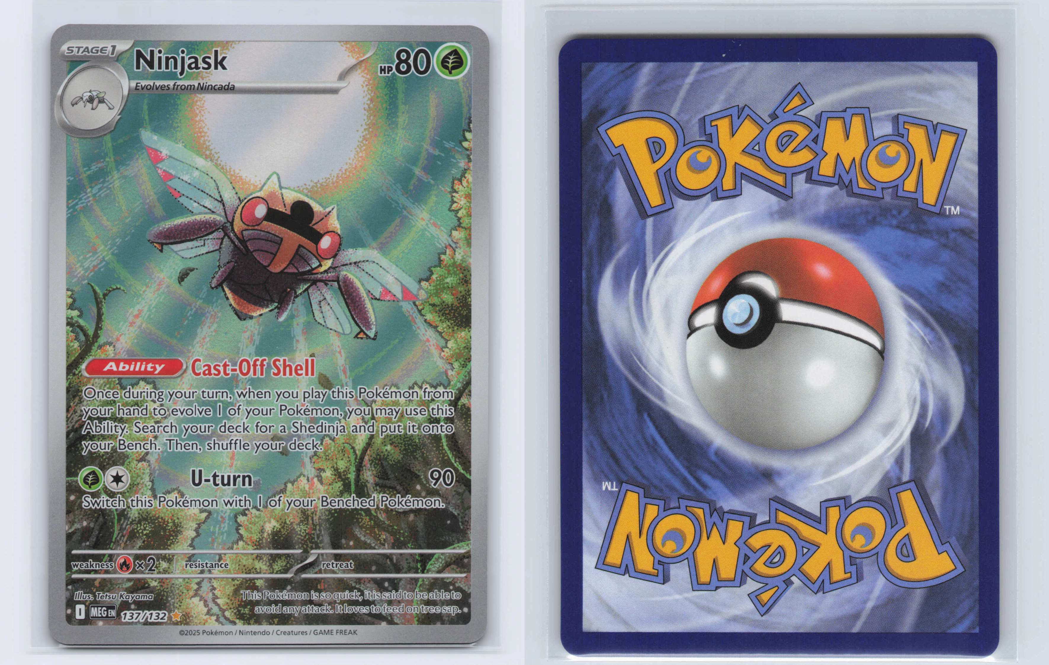 (#137/132) Ninjask - [ME01: Mega Evolution]