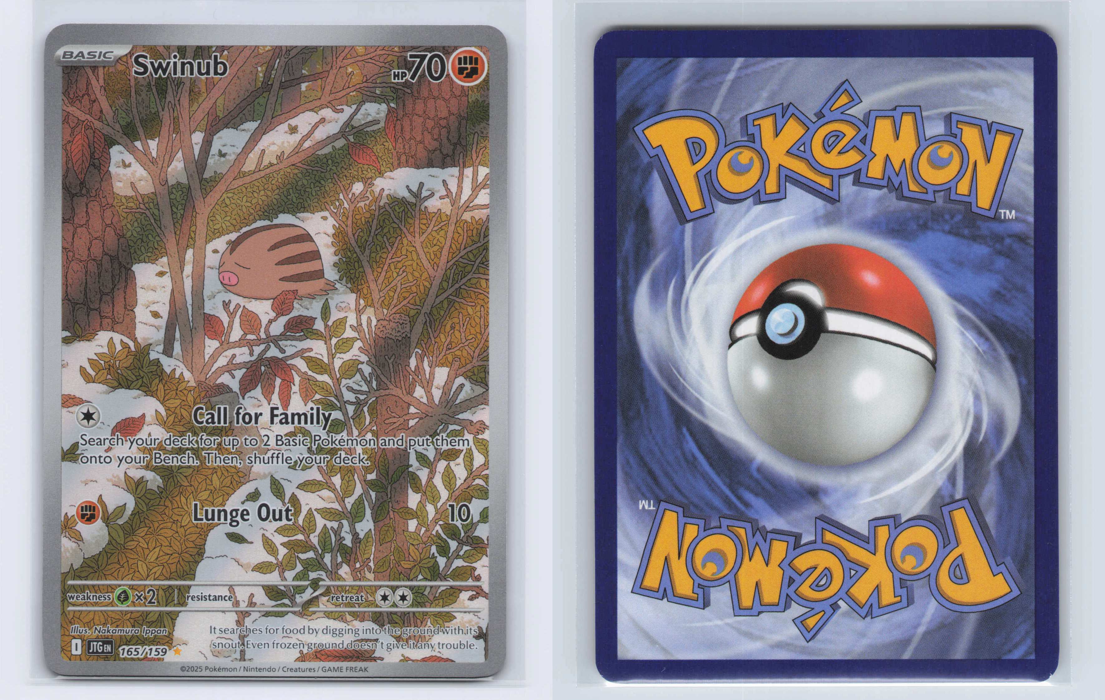 (#165/159) Swinub [SV09: Journey Together]