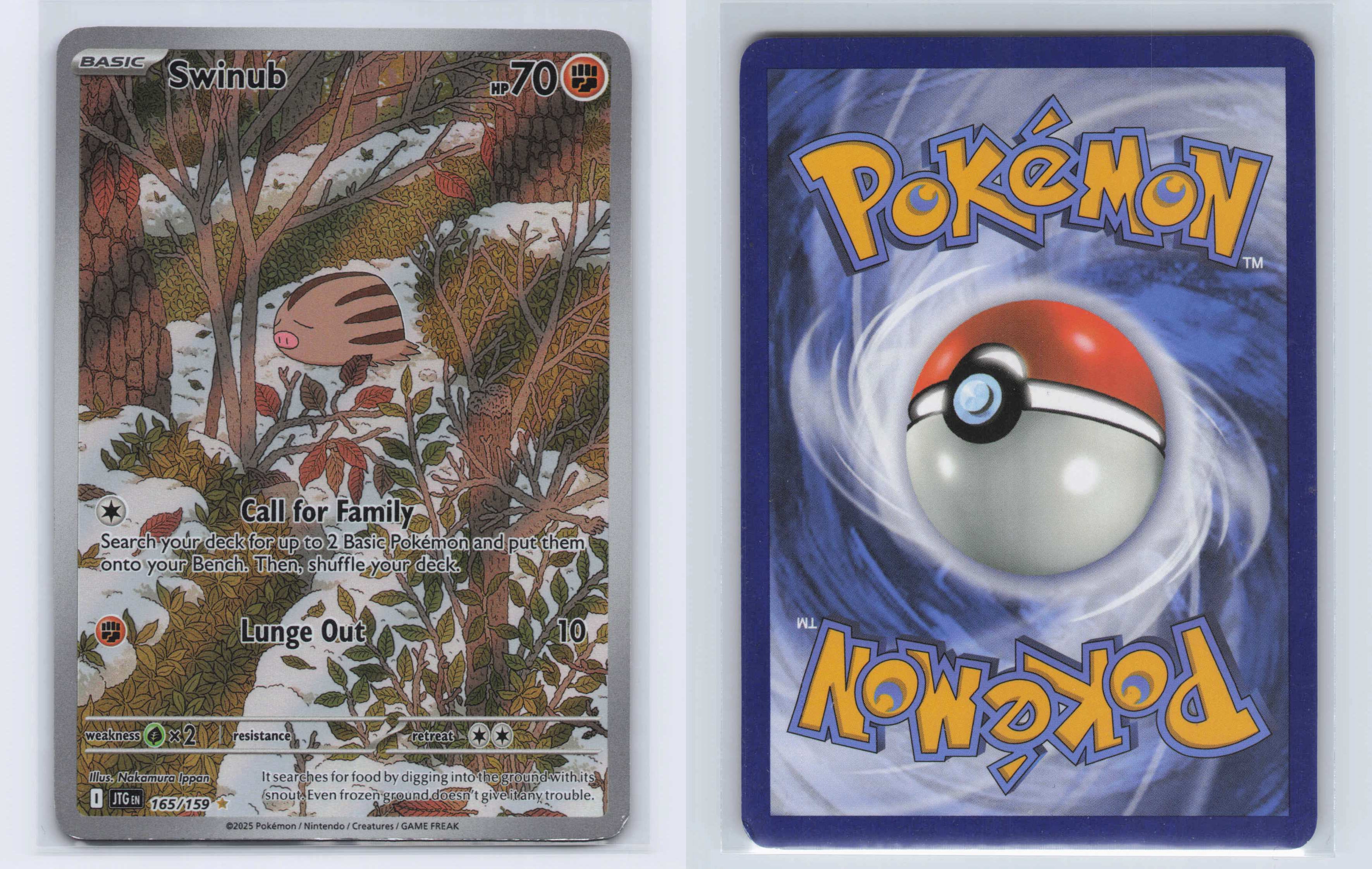 (#165/159) Swinub [SV09: Journey Together]