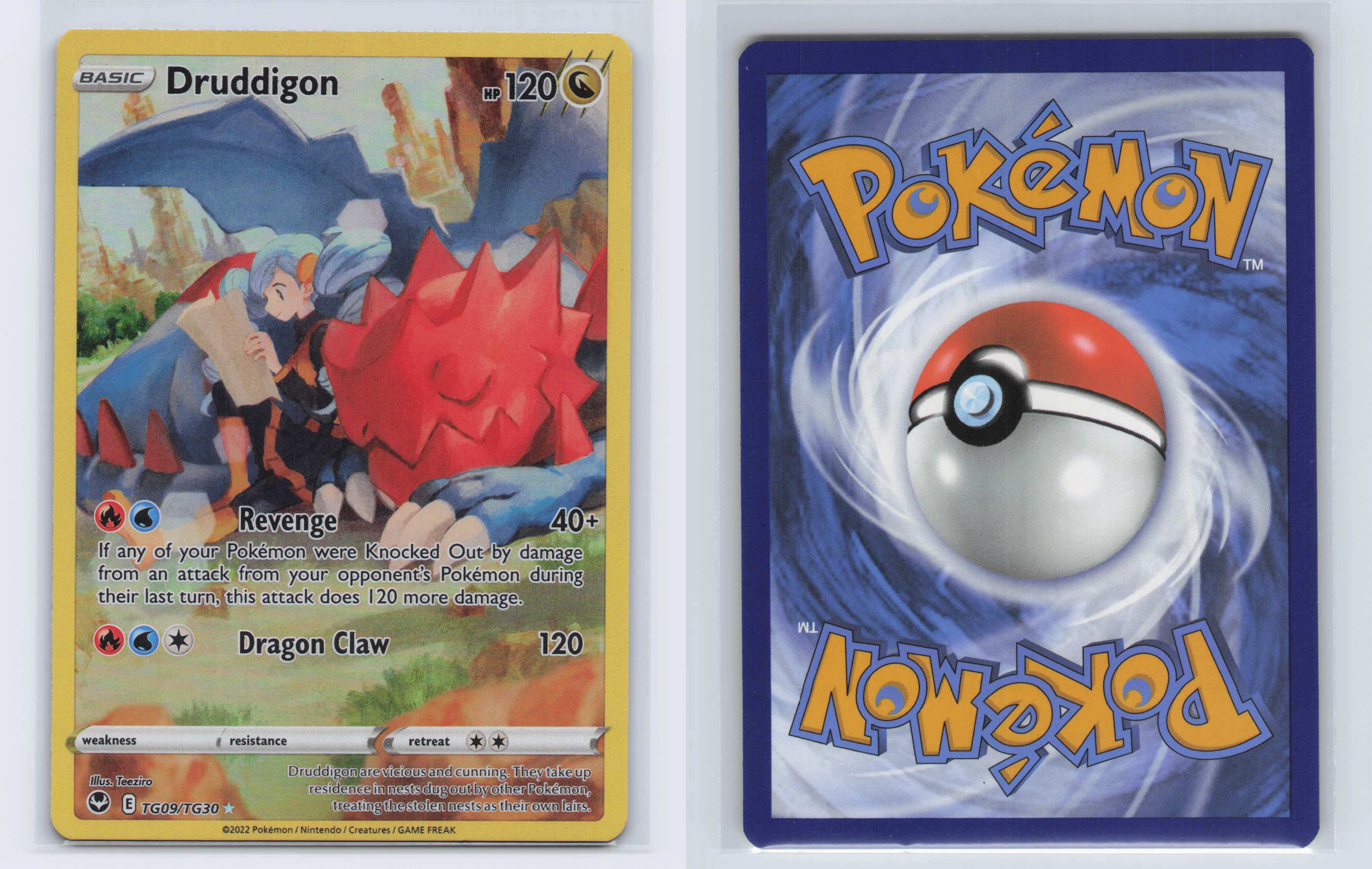 (#TG09/TG30) Druddigon [SWSH12: Silver Tempest Trainer Gallery]