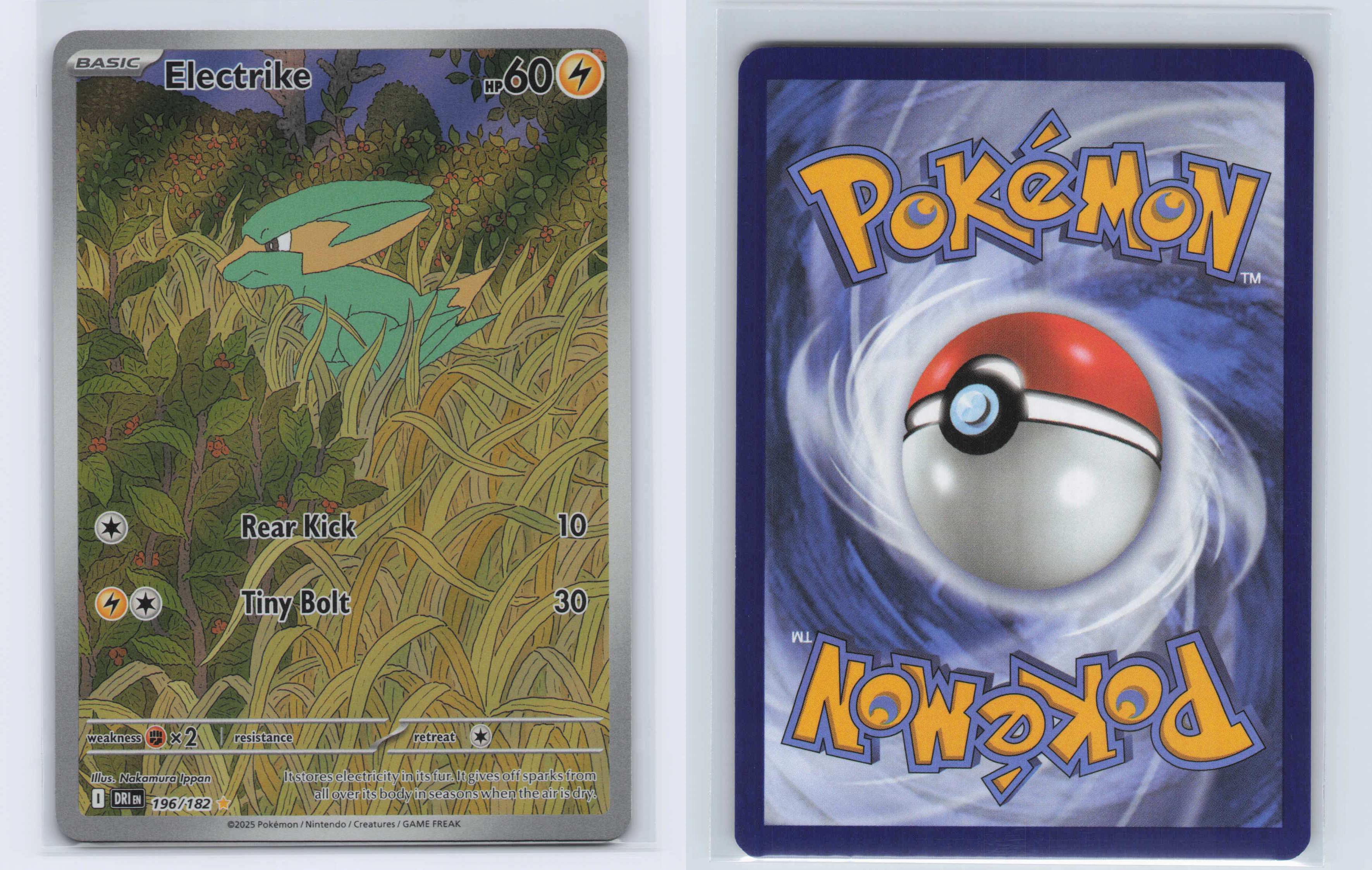 (#196/182) Electrike [SV10: Destined Rivals]