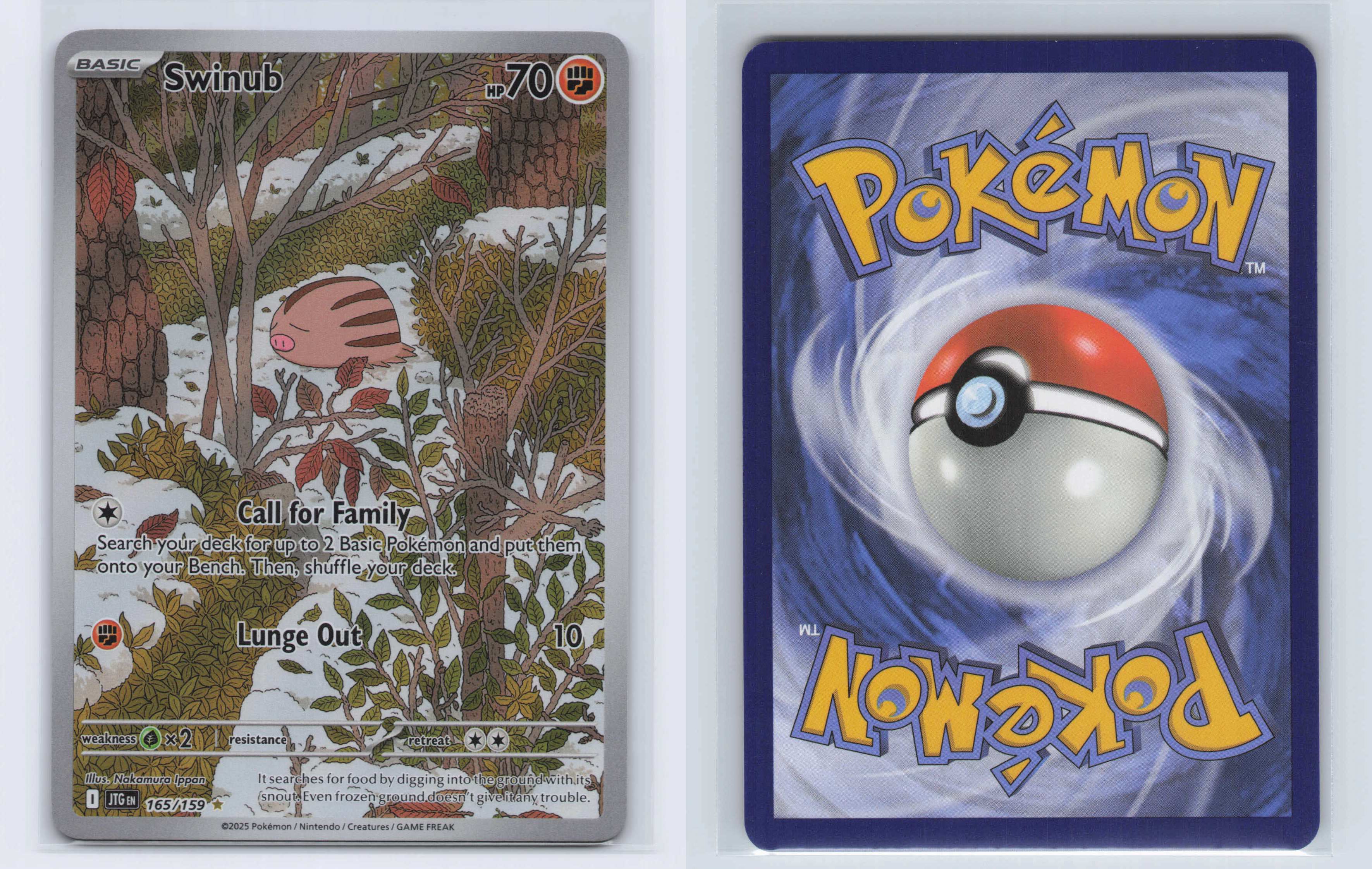 (#165/159) Swinub [SV09: Journey Together]