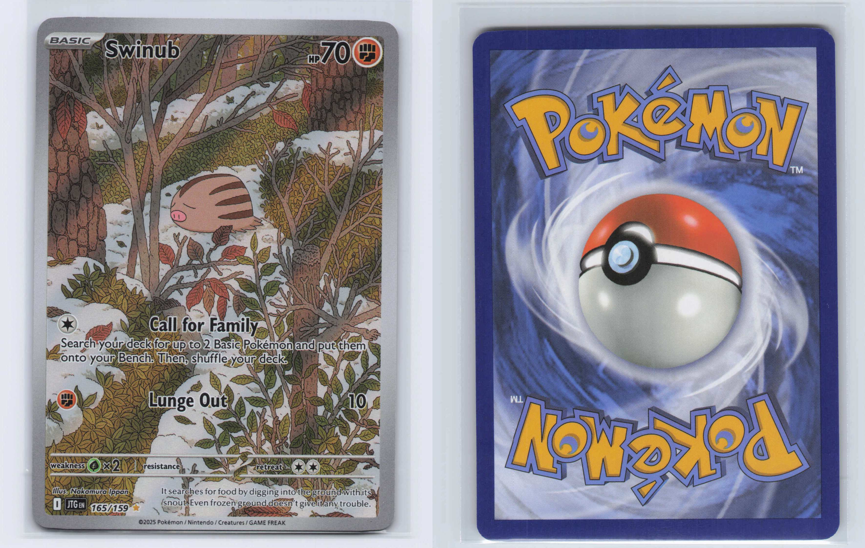 (#165/159) Swinub [SV09: Journey Together]