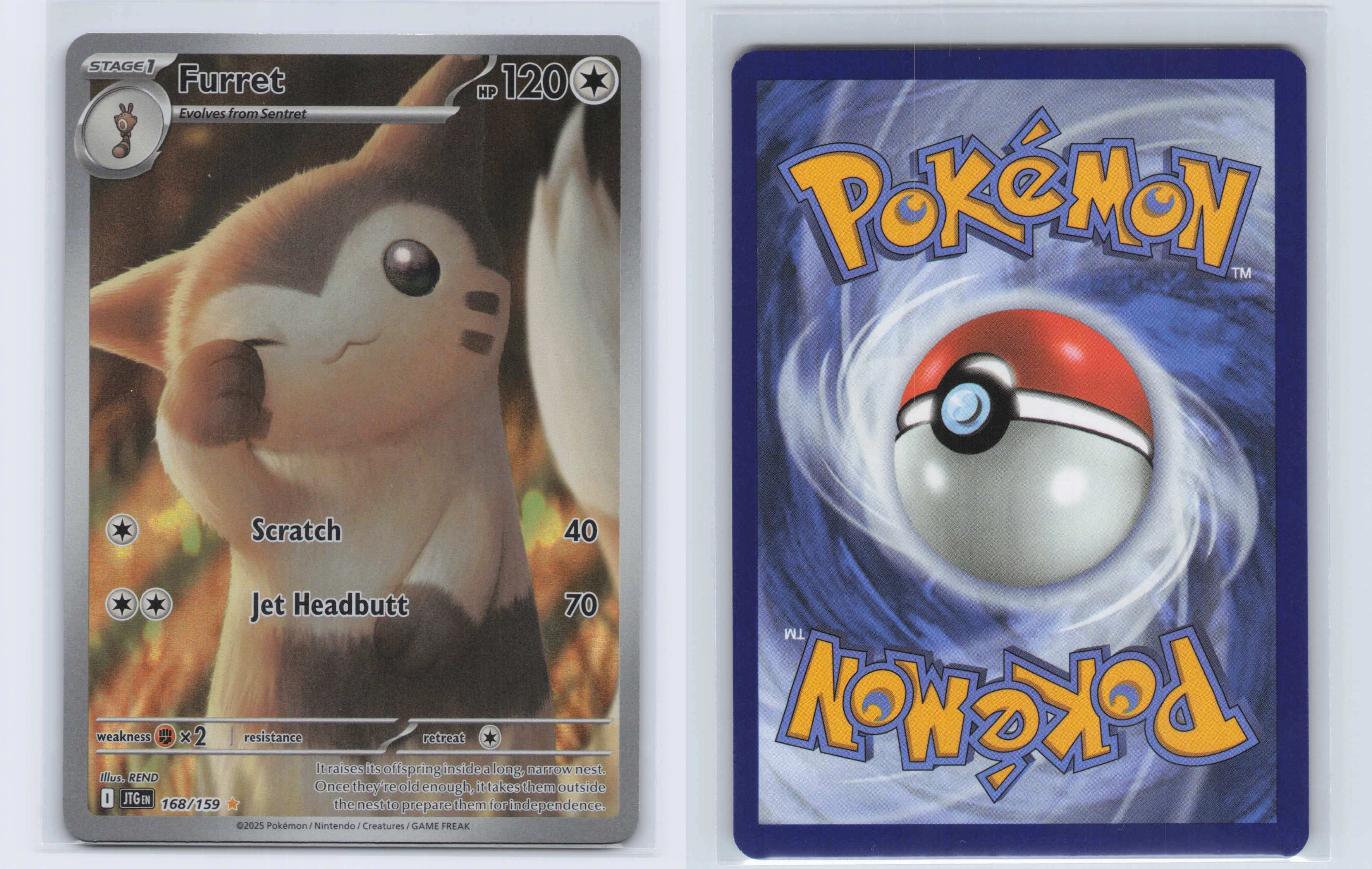 (#168/159) Furret [SV09: Journey Together]