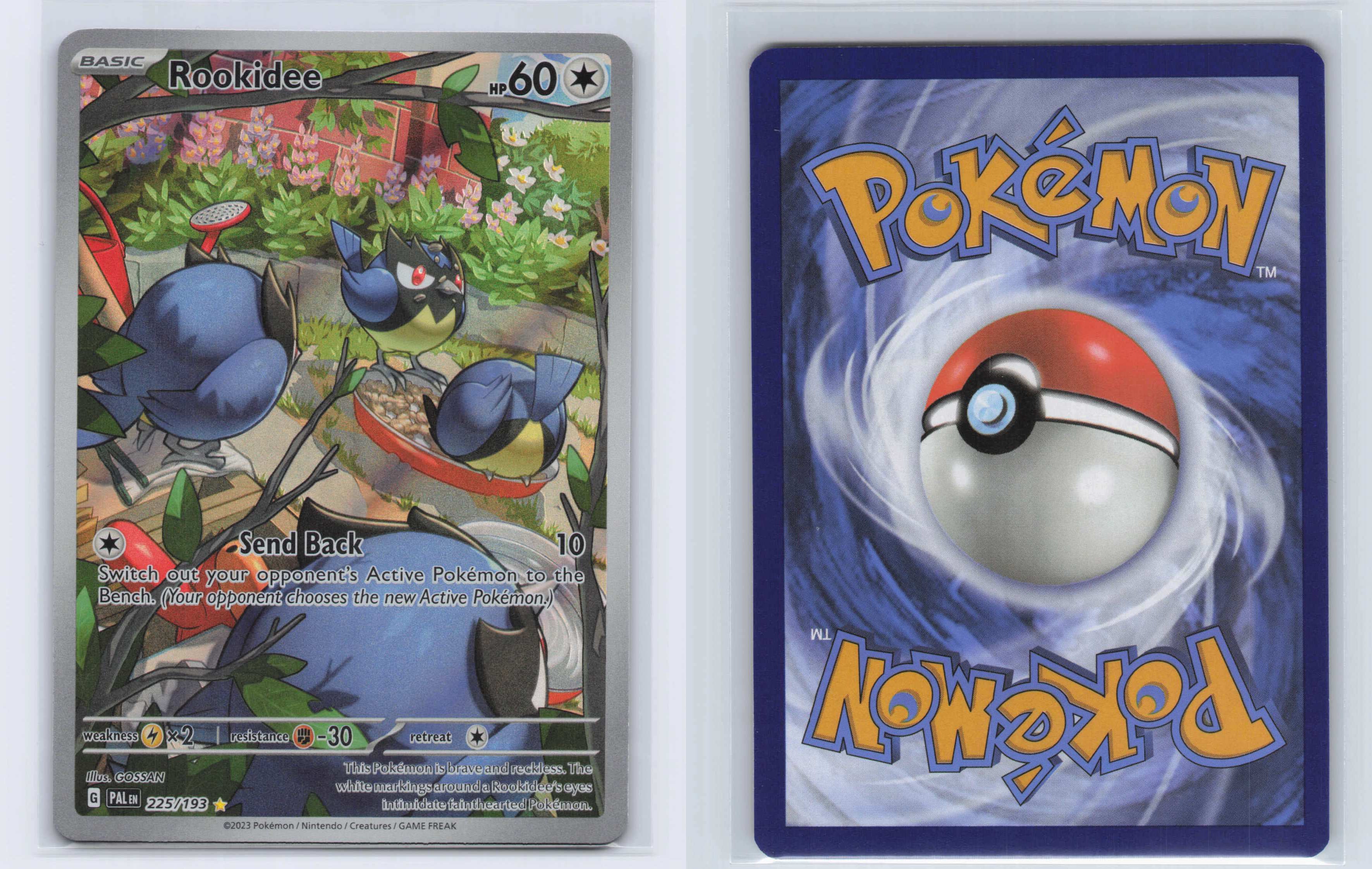 (#225/193) Rookidee [SV02: Paldea Evolved]
