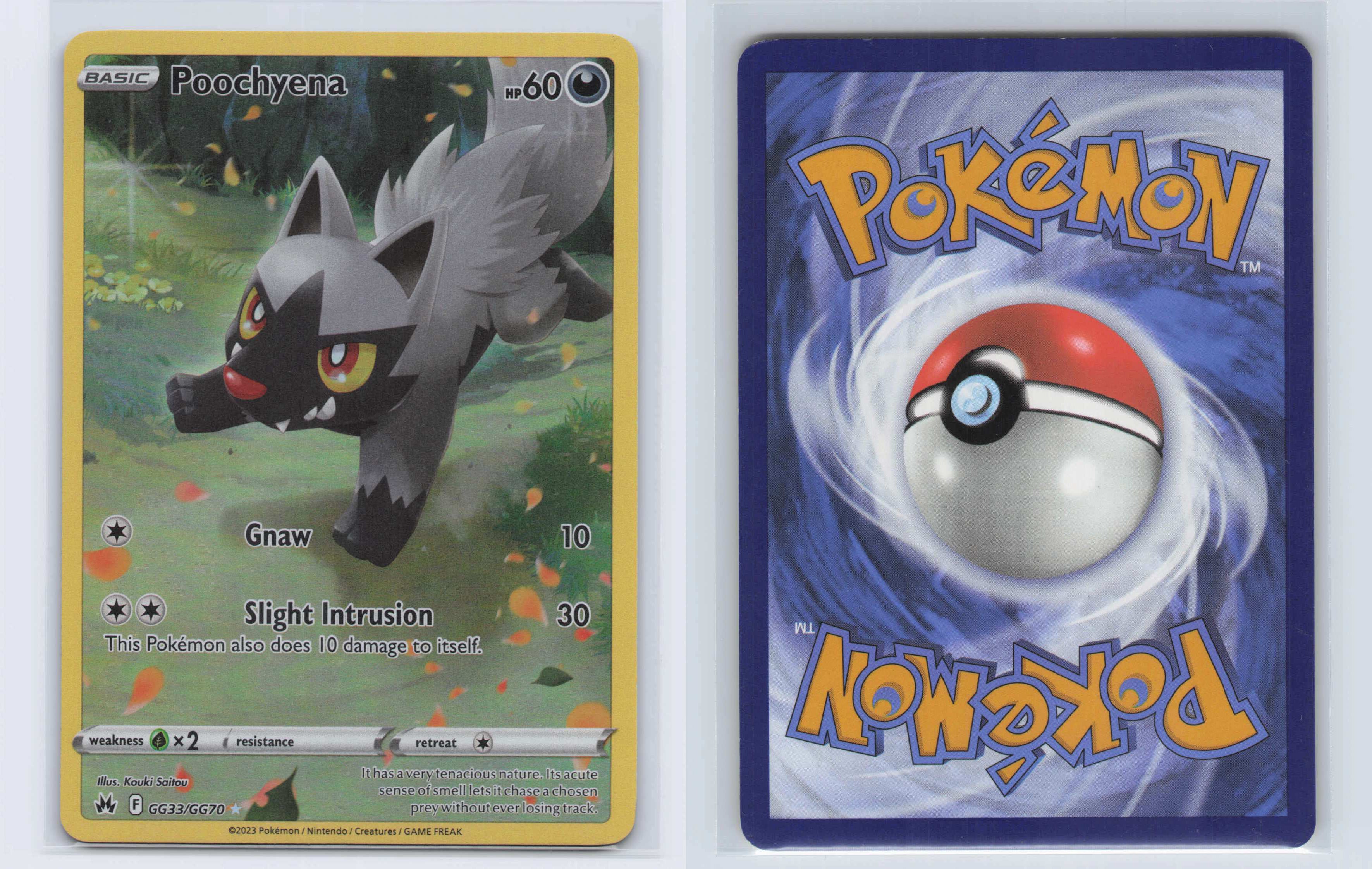 (#GG33/GG70) Poochyena [SWSH: Crown Zenith: Galarian Gallery]