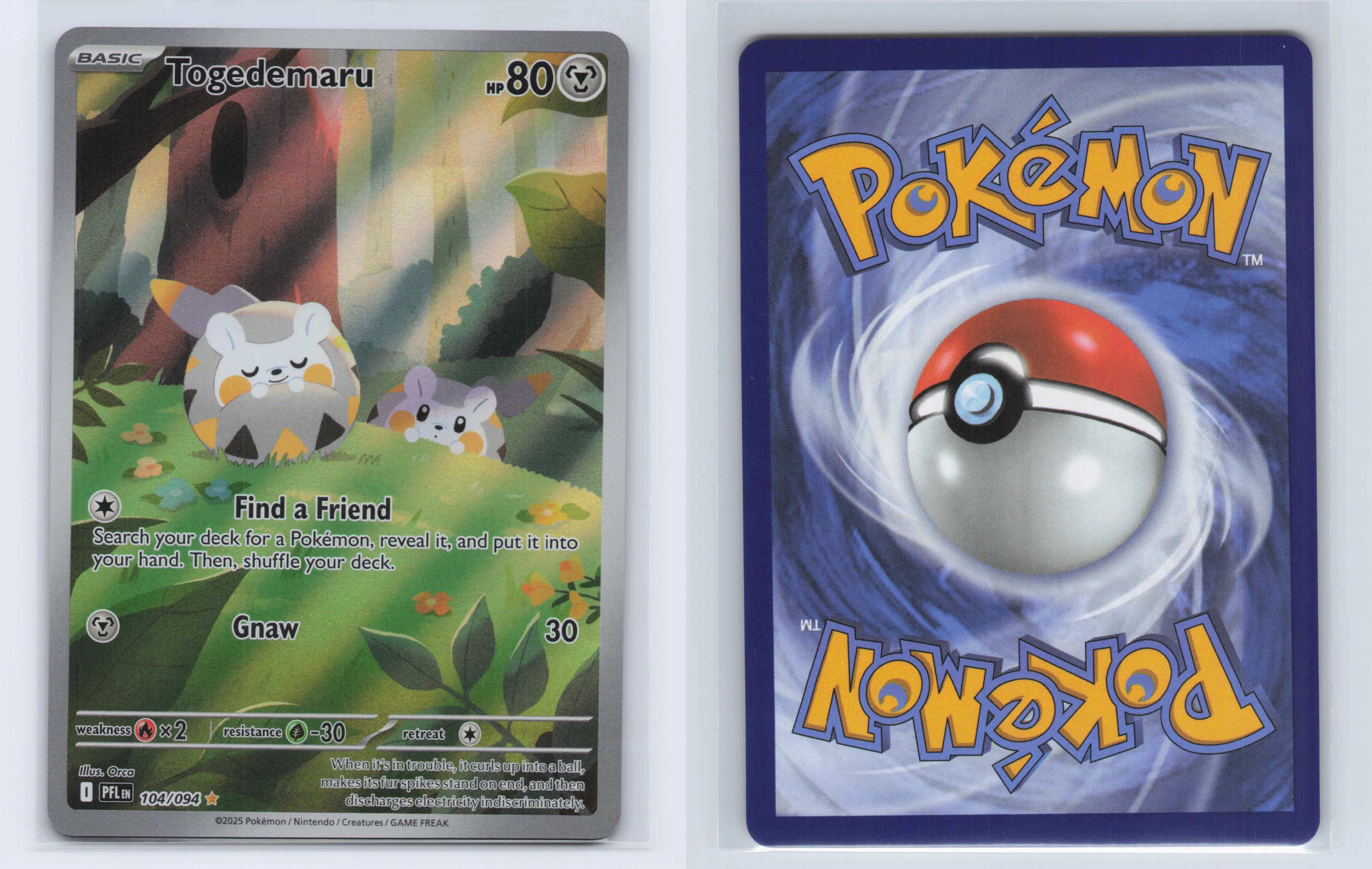 (#104/094) Togedemaru [ME02: Phantasmal Flames]