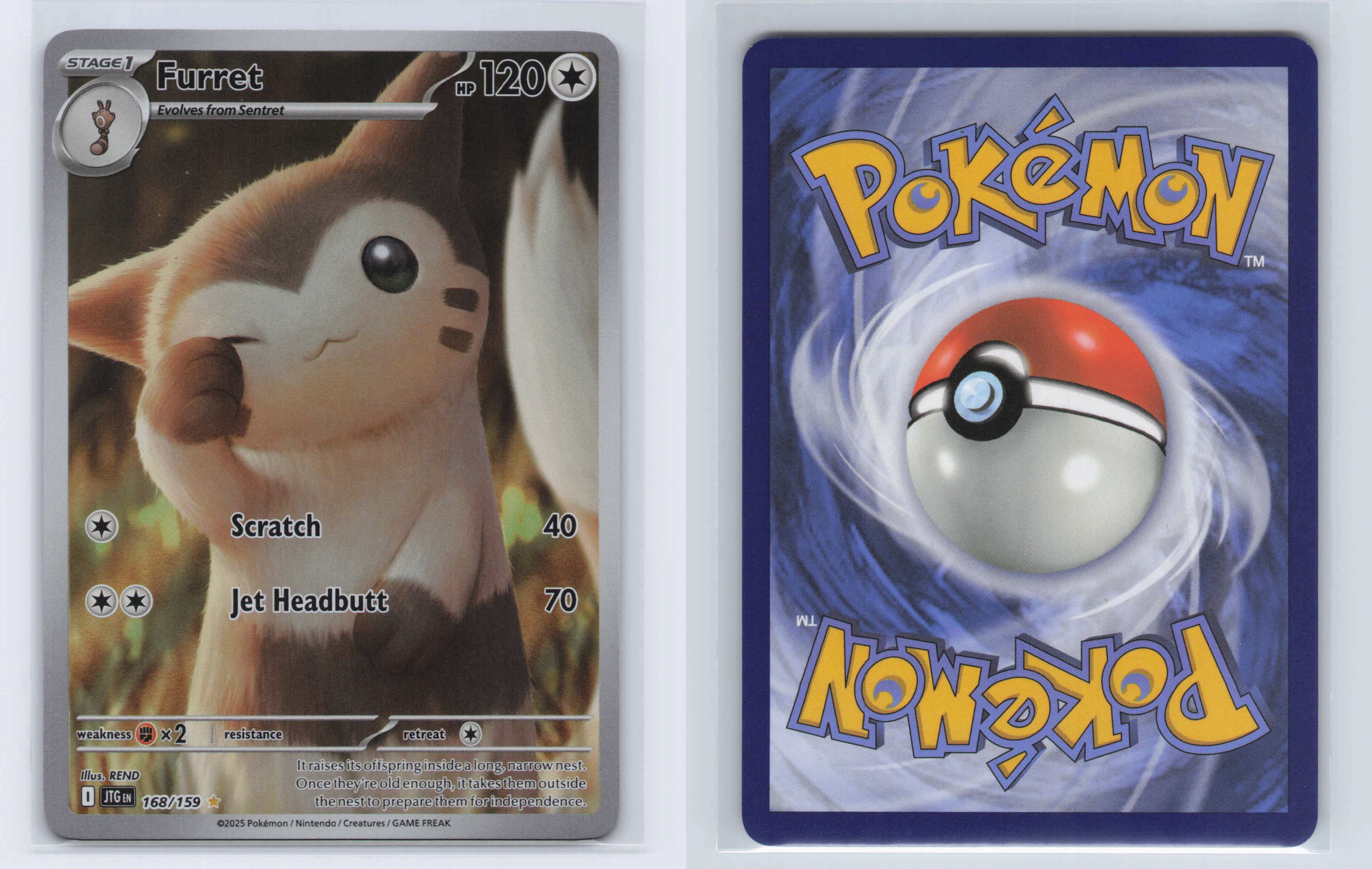 (#168/159) Furret [SV09: Journey Together]