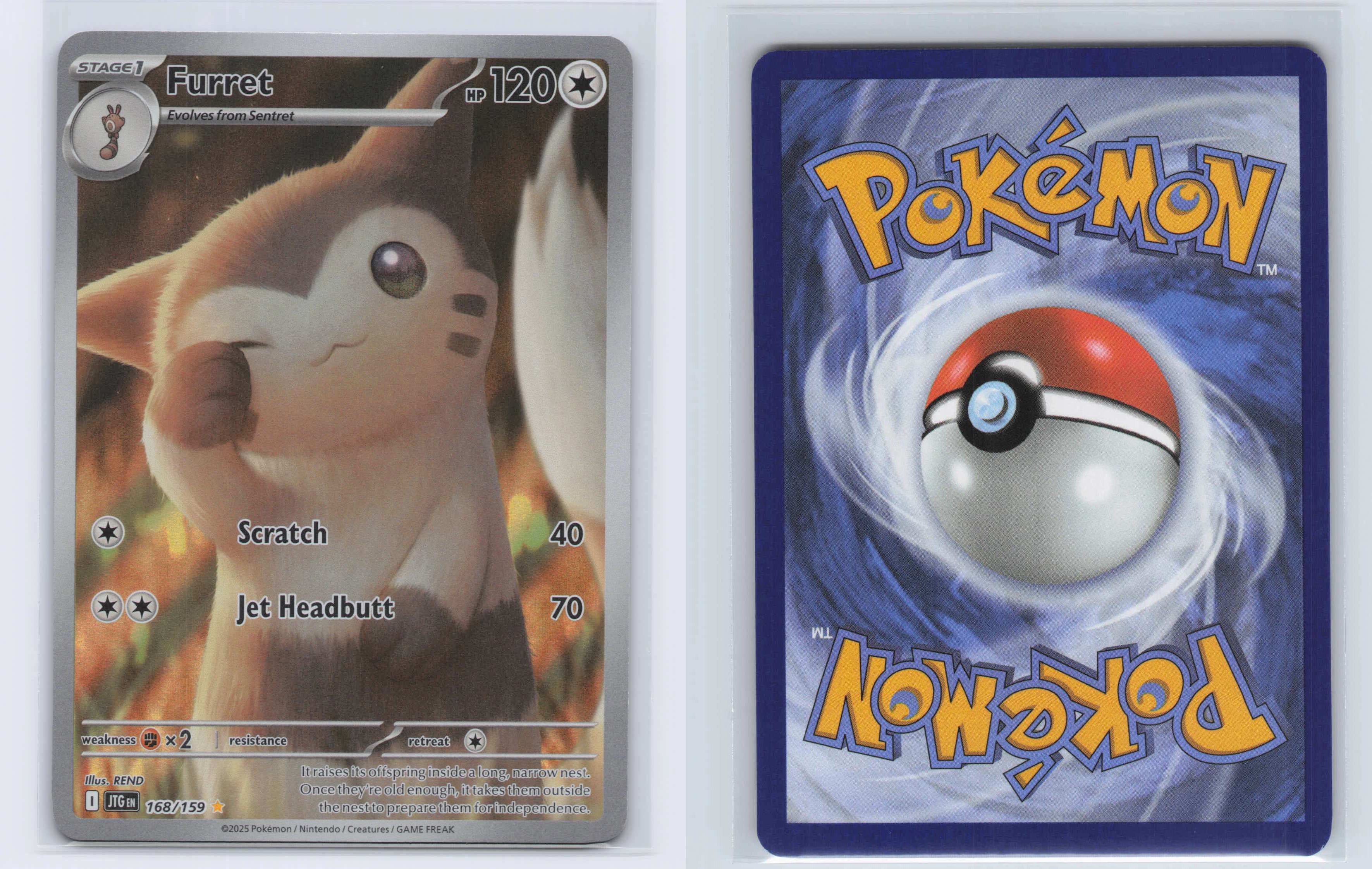 (#168/159) Furret [SV09: Journey Together]