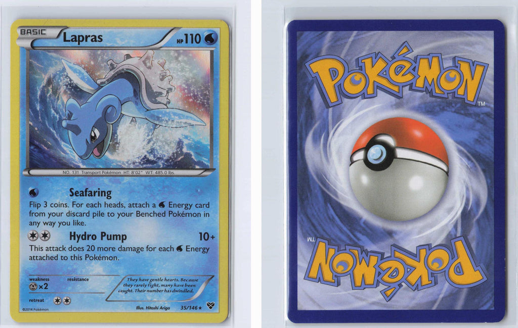 (#35/146) Lapras - Holo [XY]