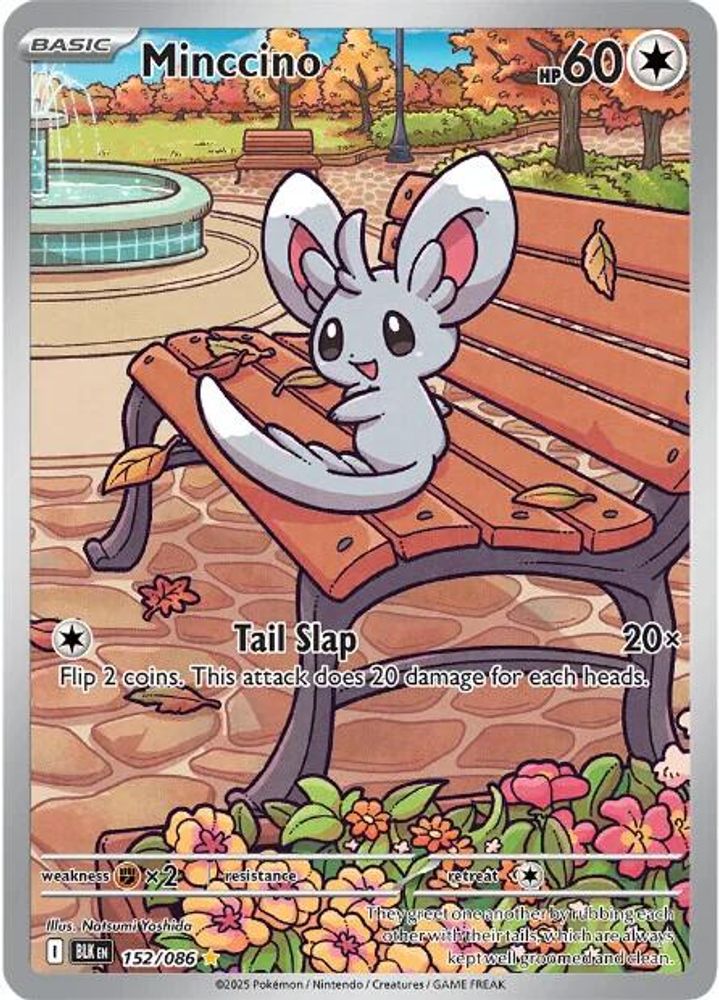(#152/086) Minccino - Holo [Black Bolt]