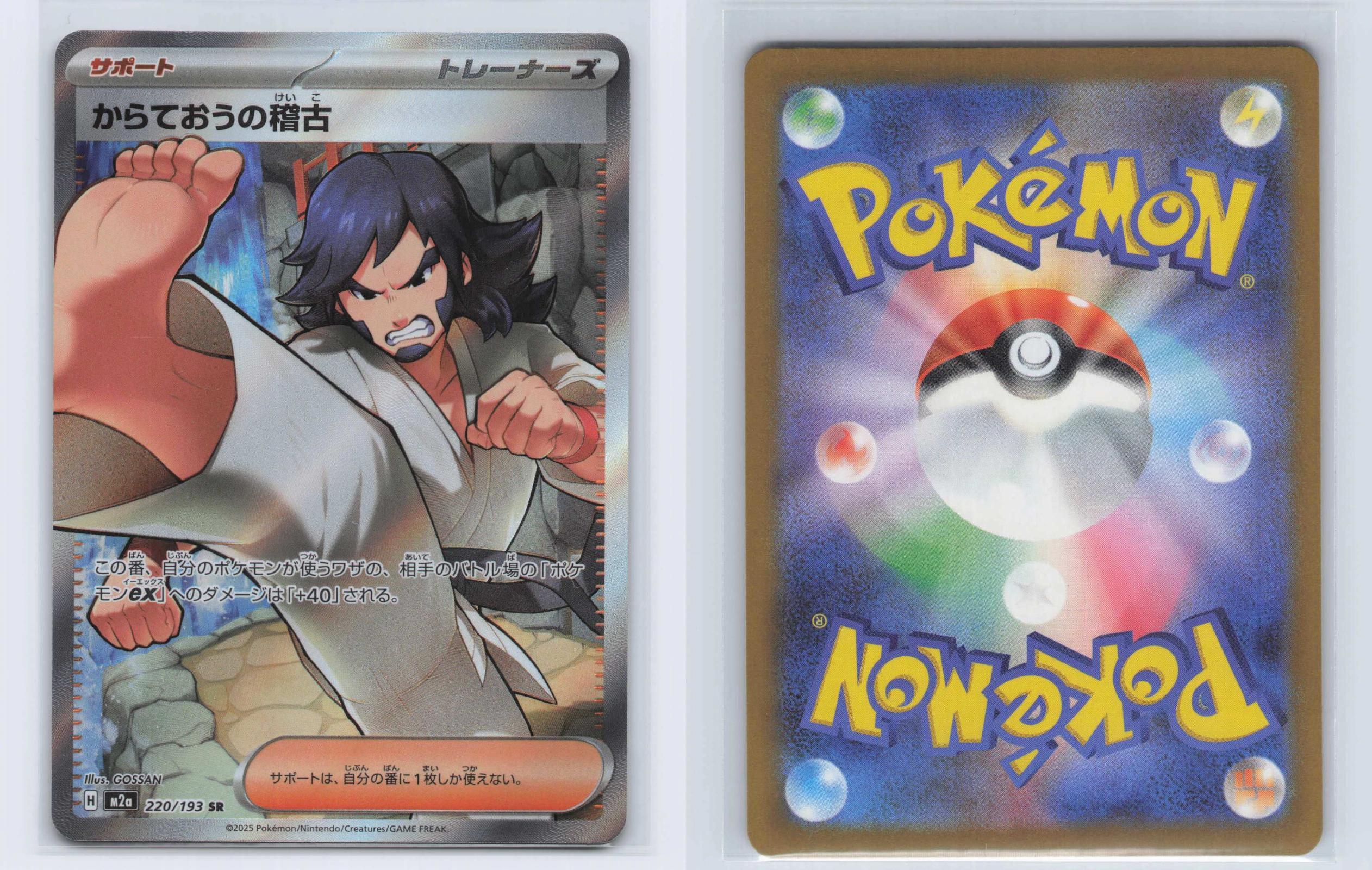 (#220/193) Black Belt's Training - Holo [MEGA Dream ex (JPN)]