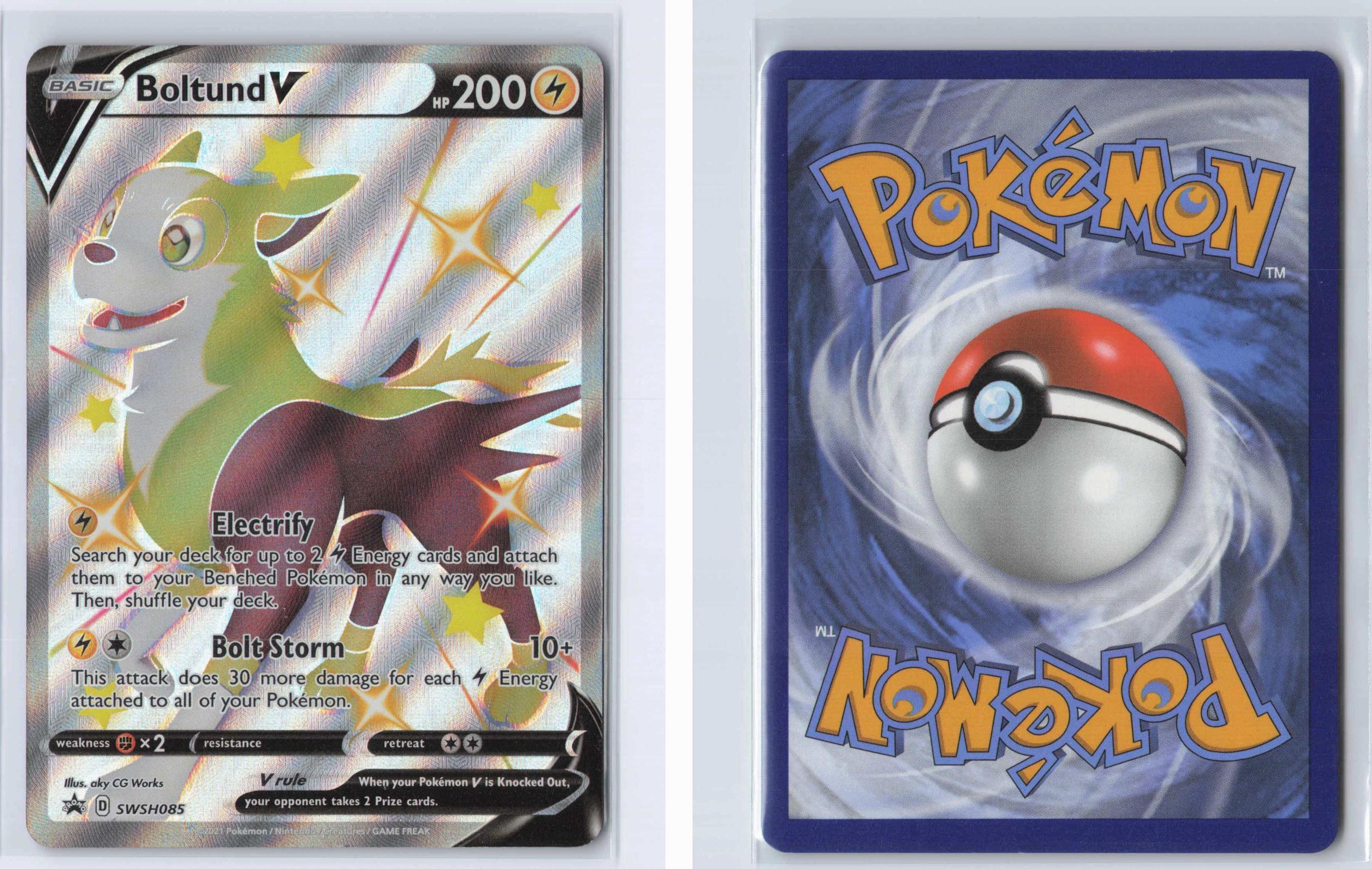 (#SWSH085) Boltund V - Holo [Sword & Shield Promo]