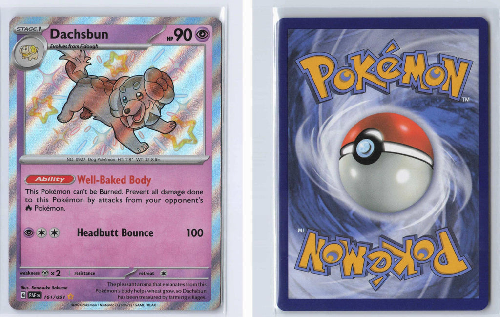 (#161/091) Dachsbun - Holo [Paldean Fates]